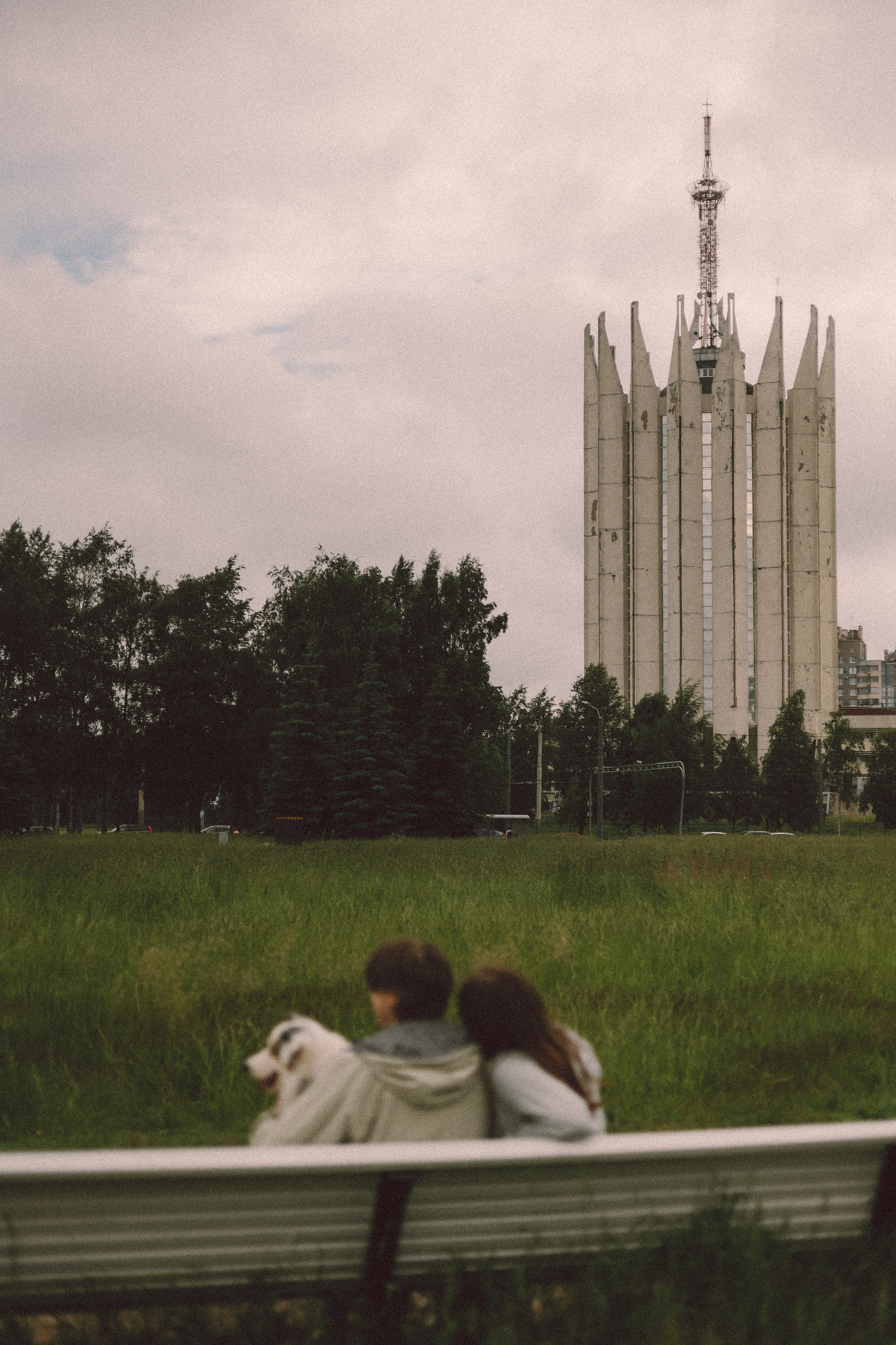 Хлоя, Алёна и Дима. Фотограф анималист Анастасия Пикей