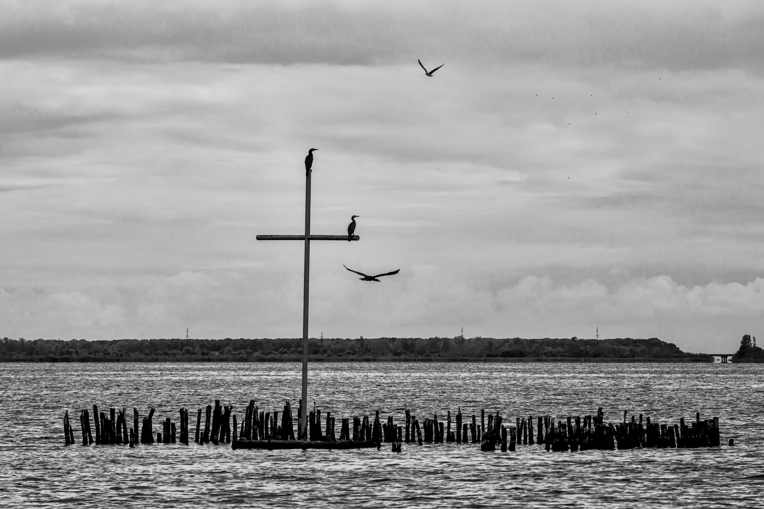 Abstraction. Dimitri Bakhtadze photographer