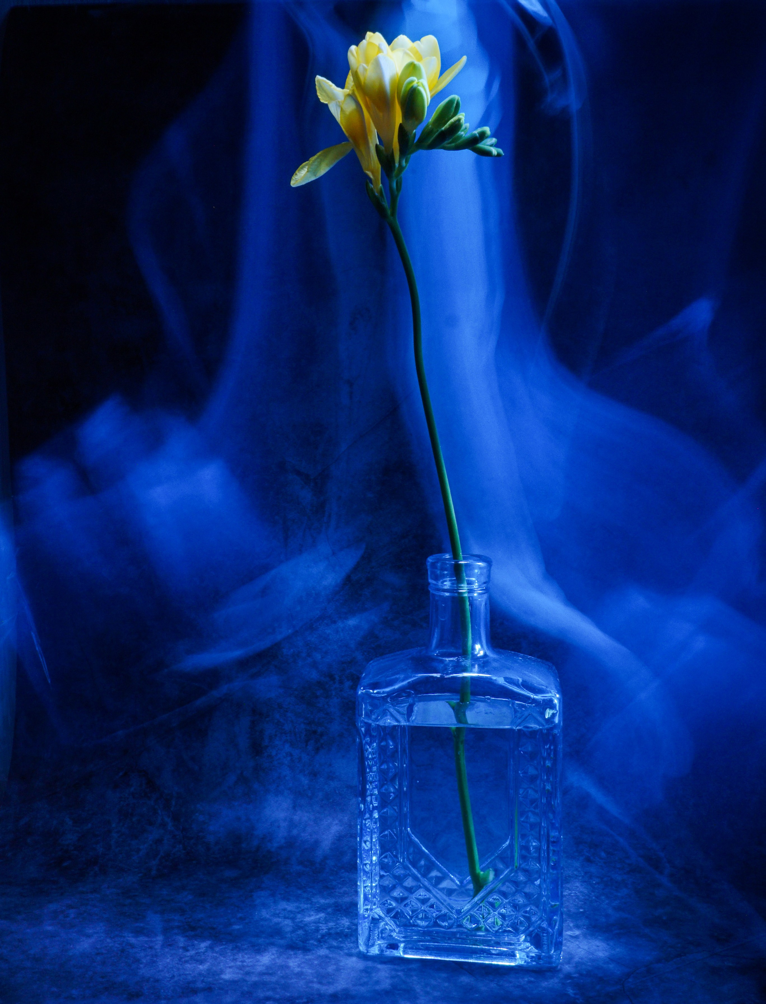 Светопись. Фотохудожник Татьяна Бойцова