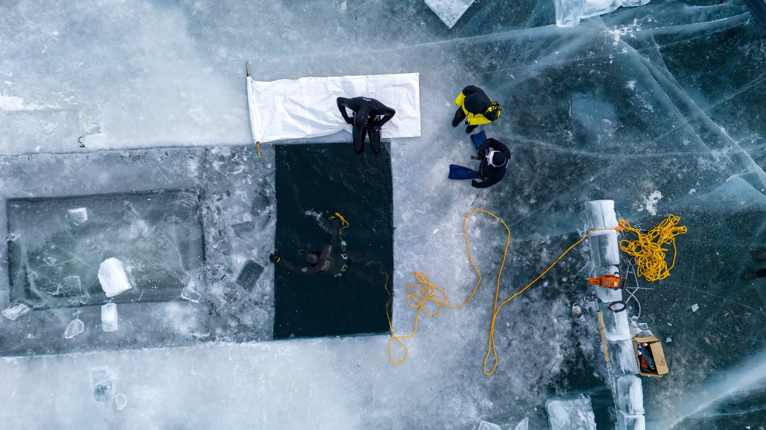 Групповые/Репортажные съемки. Dmitry Golenko