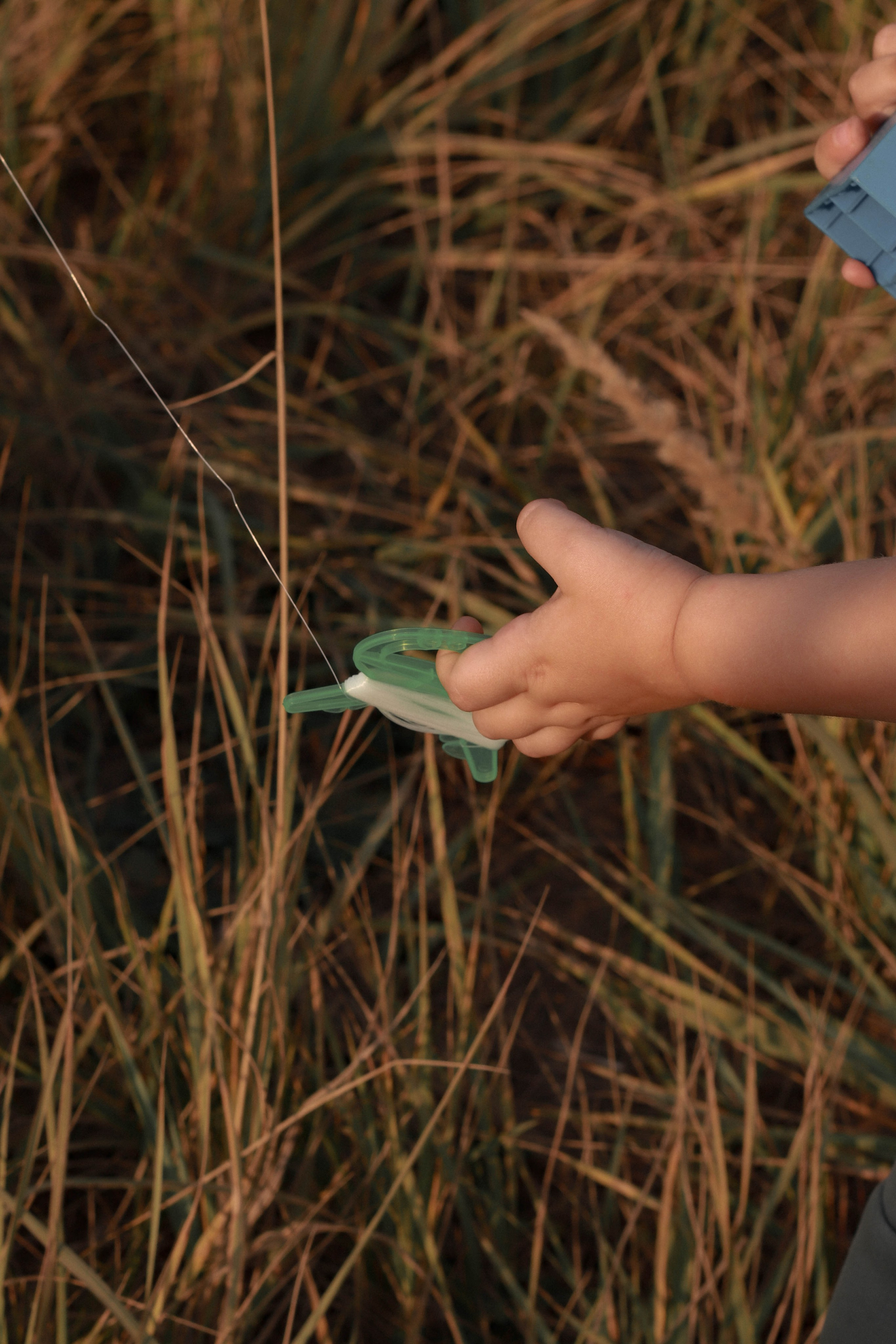 Воздушный змей. Фотограф Анна Никитина | Йошкар-Ола