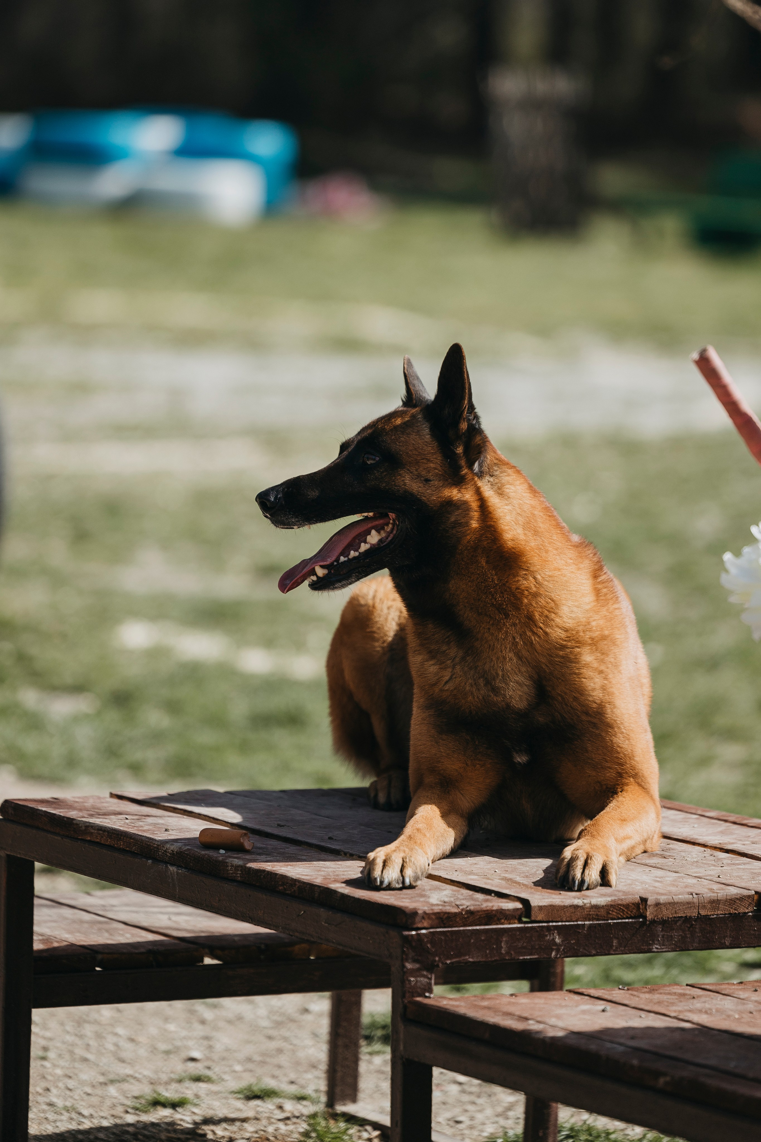 Геленджик Мондьоринг. Фотограф-анималист Анна Маринич