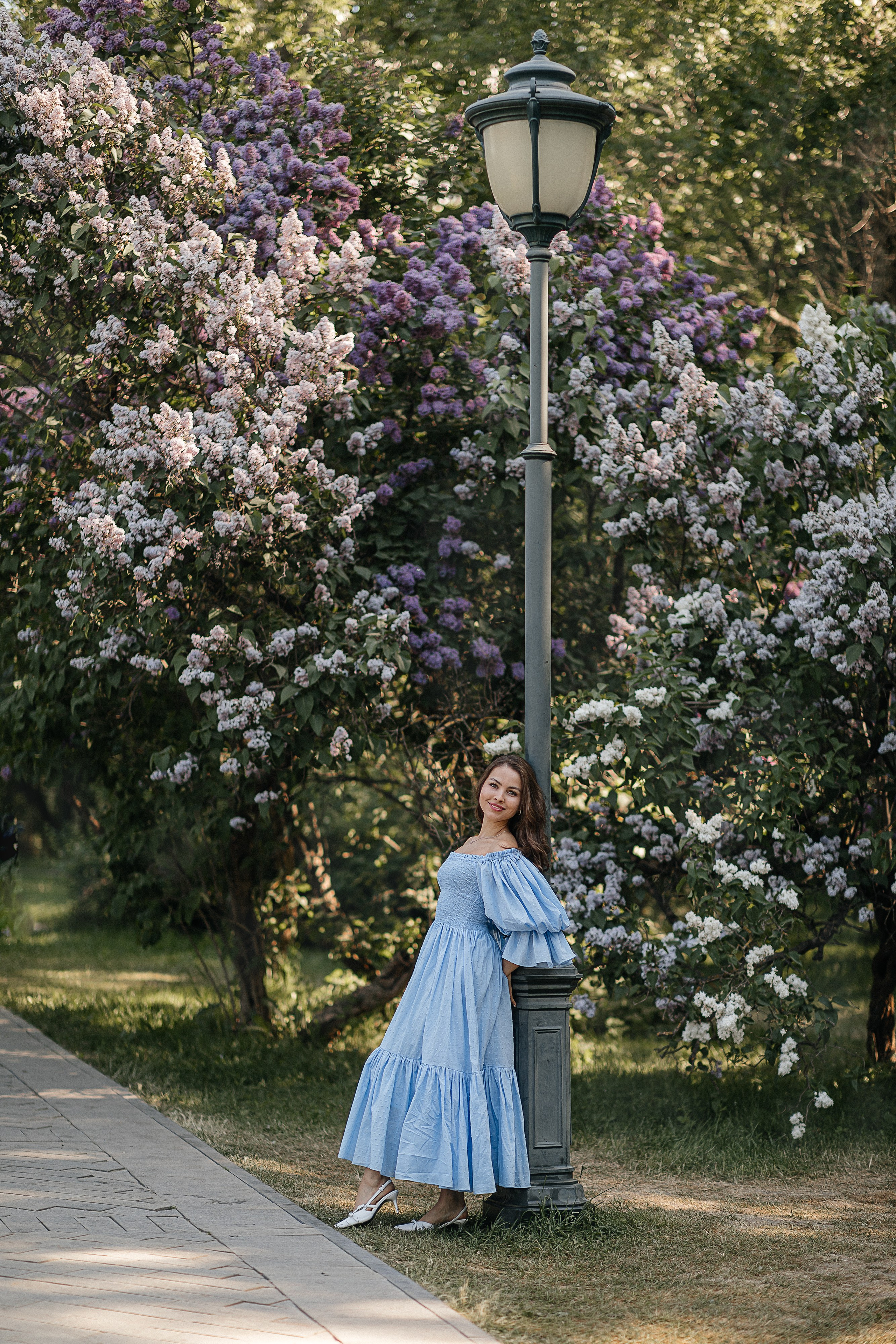 Сирень Азиза. Фотограф Москва