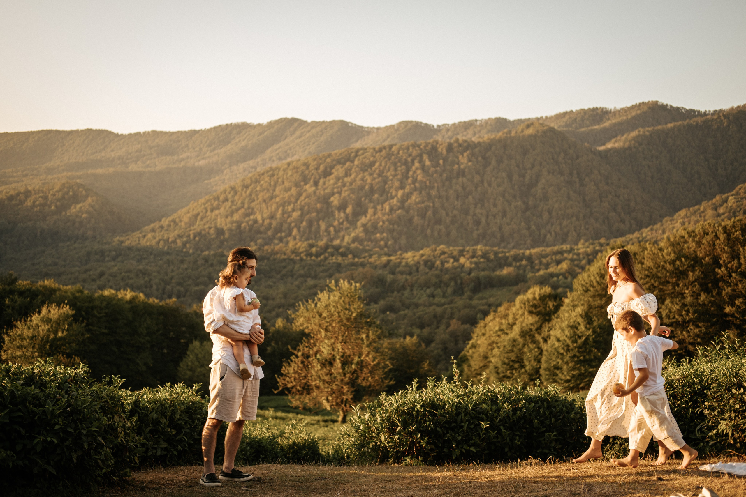 Плантации. Главная