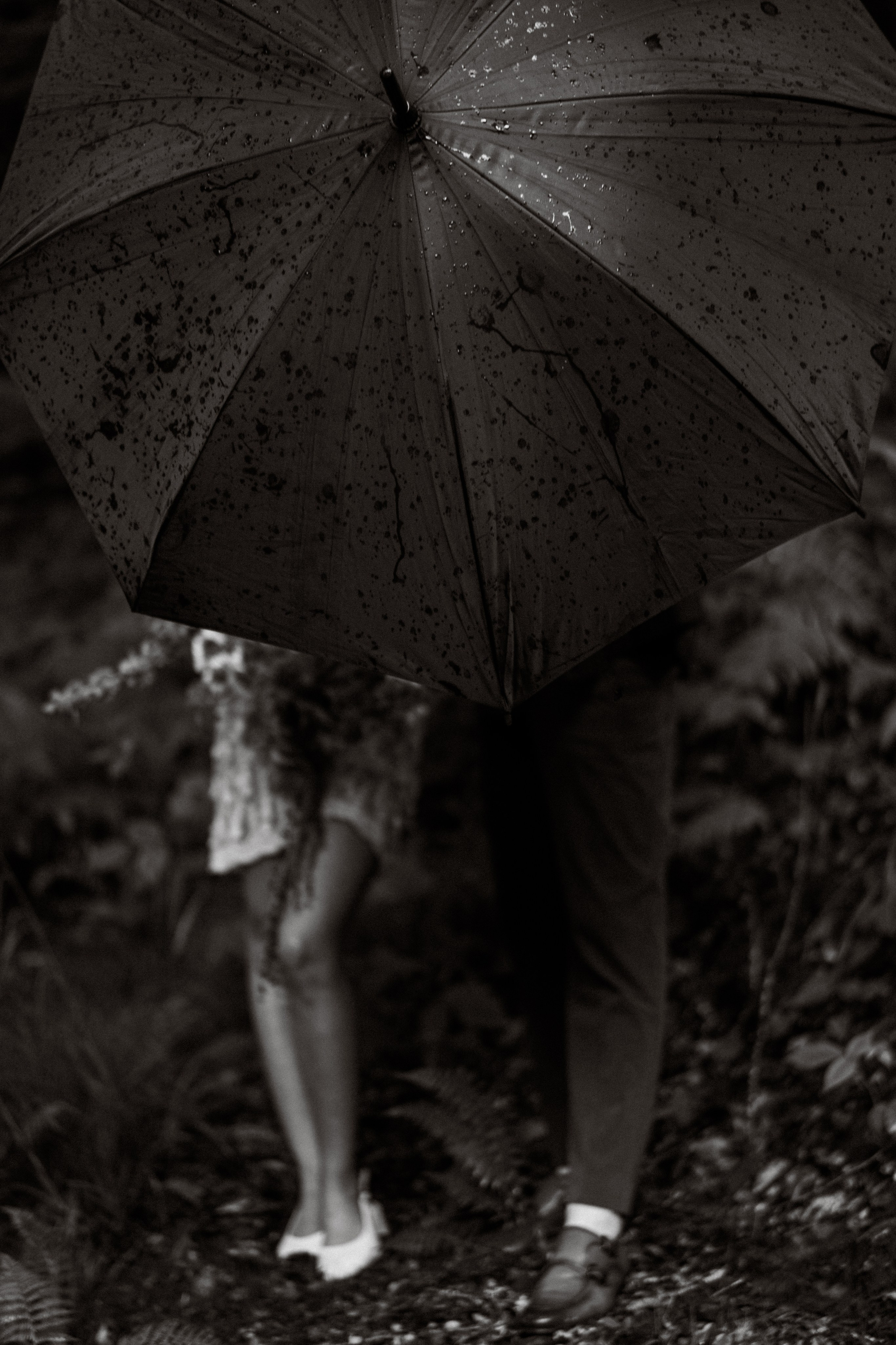 Прячься! Дождь идёт. Сочи. 2024. Никита Погосов