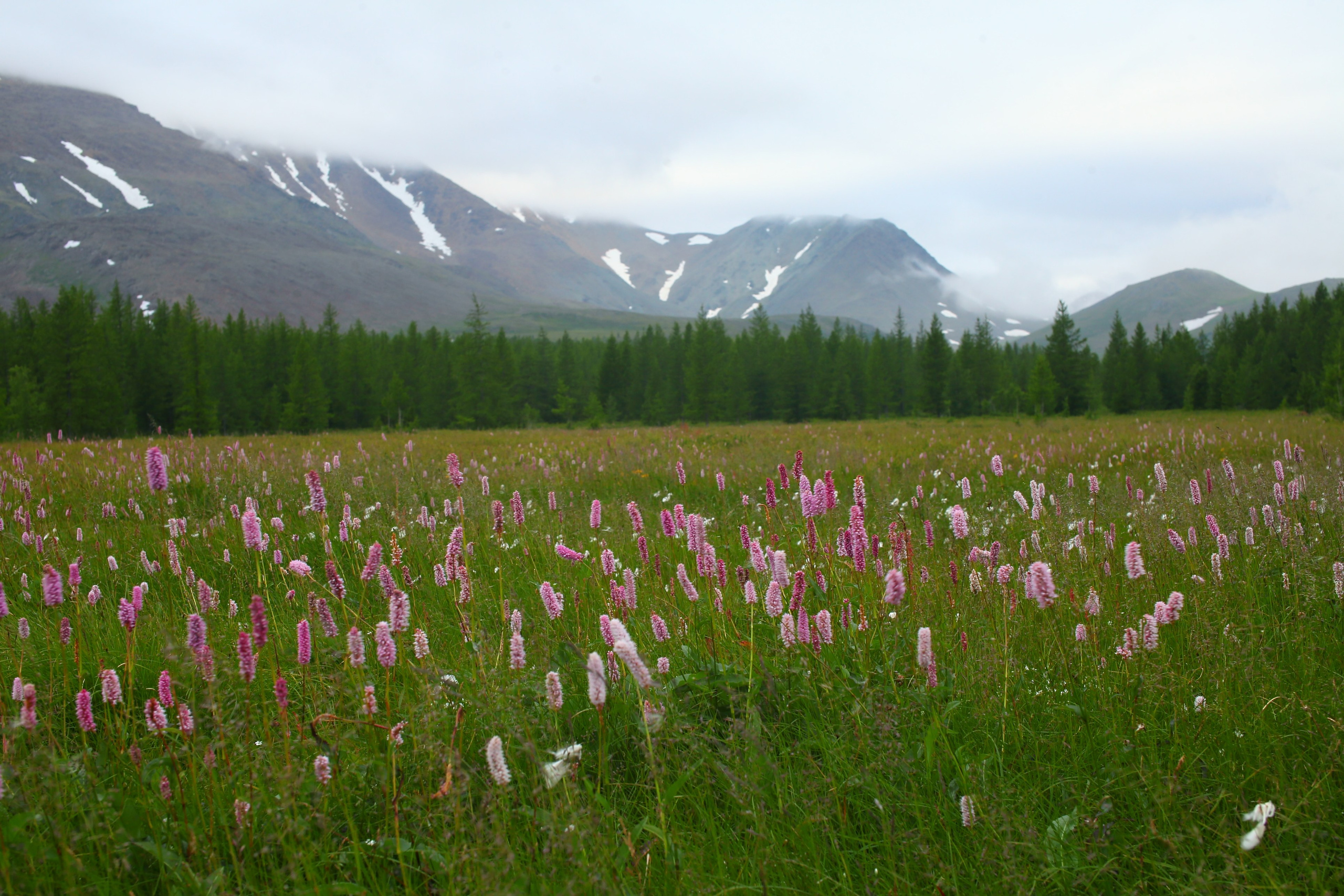 Полярный Урал. Свадебный и репортажный фотограф в Ярославле и Санкт-Петербурге Роман Микрюков