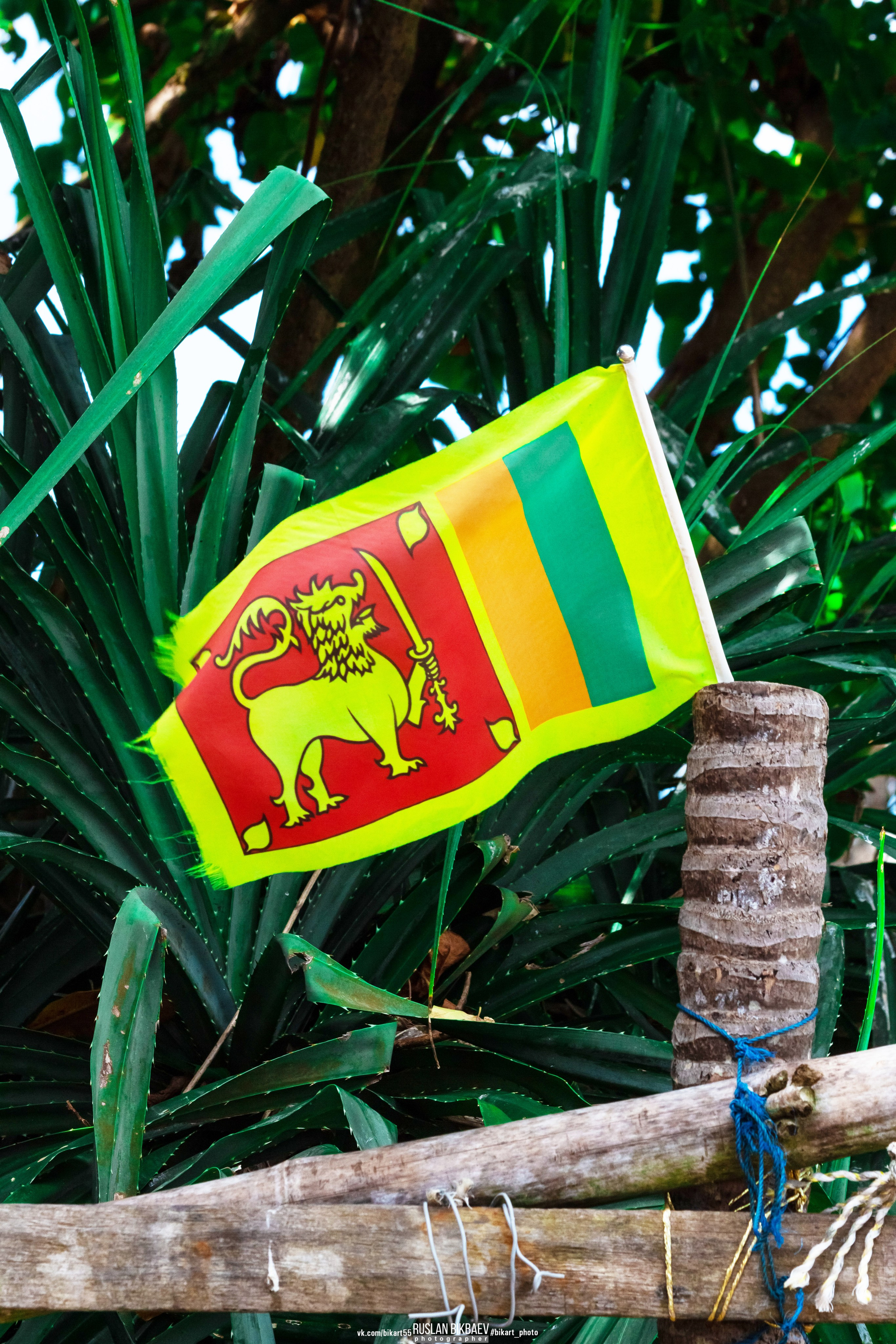 ШРИ-ЛАНКА 2025 / SRI LANKA 2025. Главная