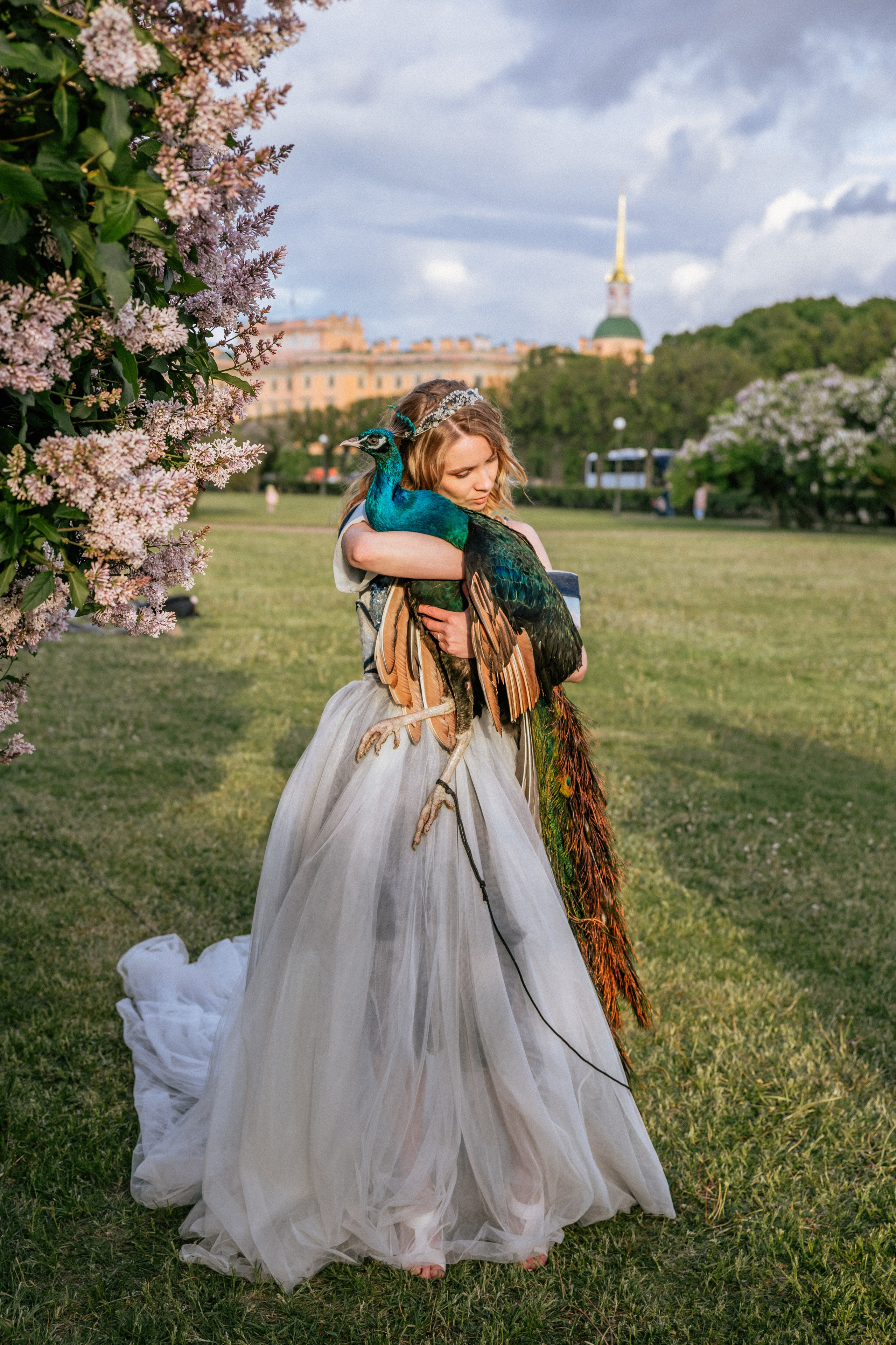 Павлин. Elena Sova — семейный и женский фотограф в Санкт-Петербурге