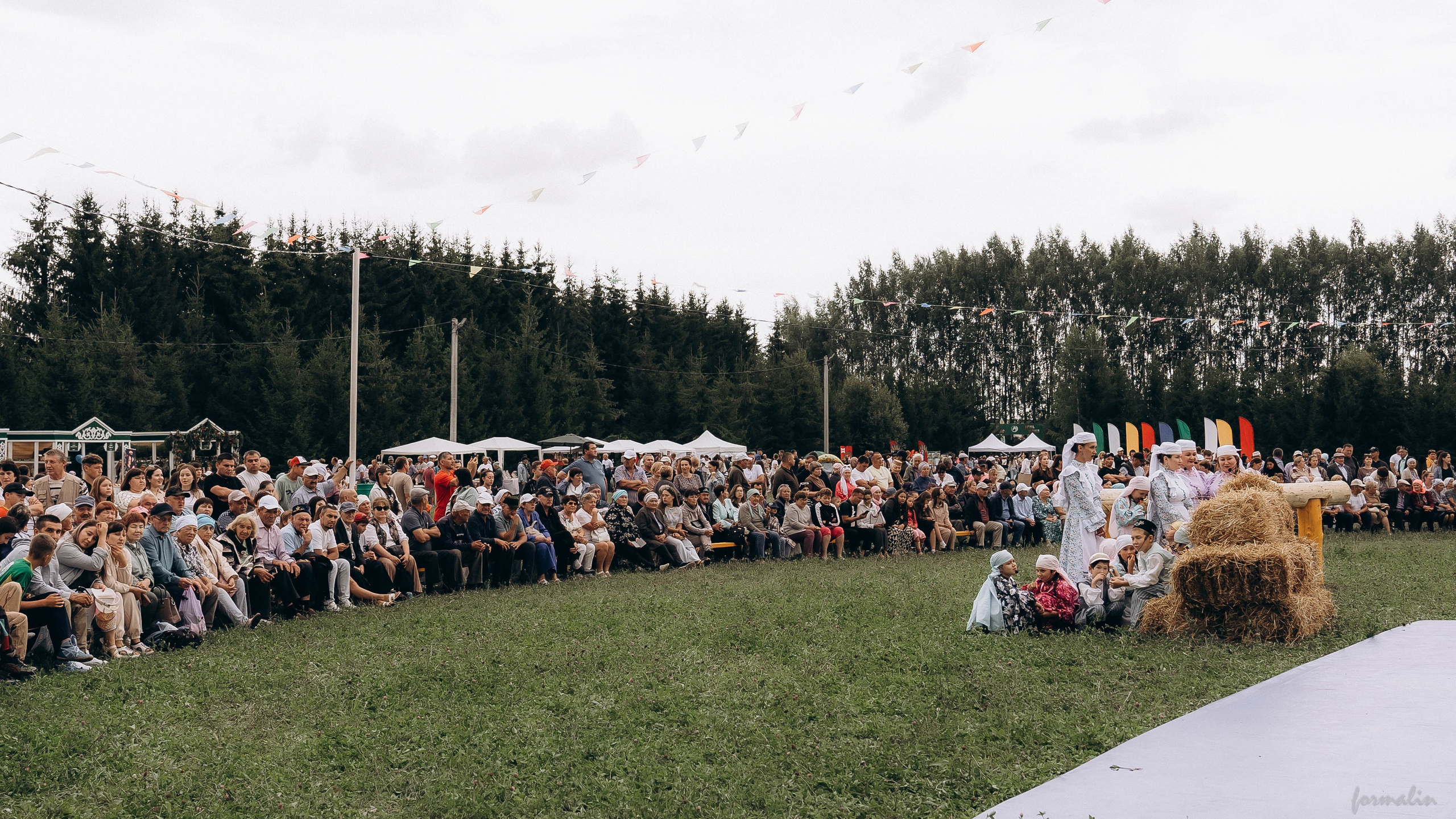 День Коня. Алиса Никитцова | Фотограф в Казани