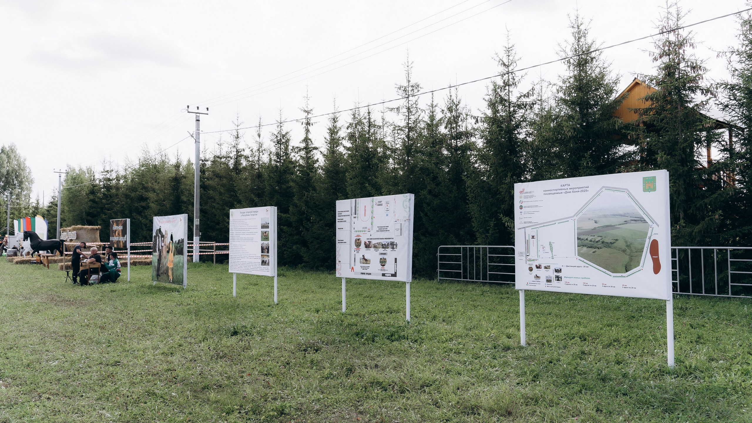 День Коня. Алиса Никитцова | Фотограф в Казани