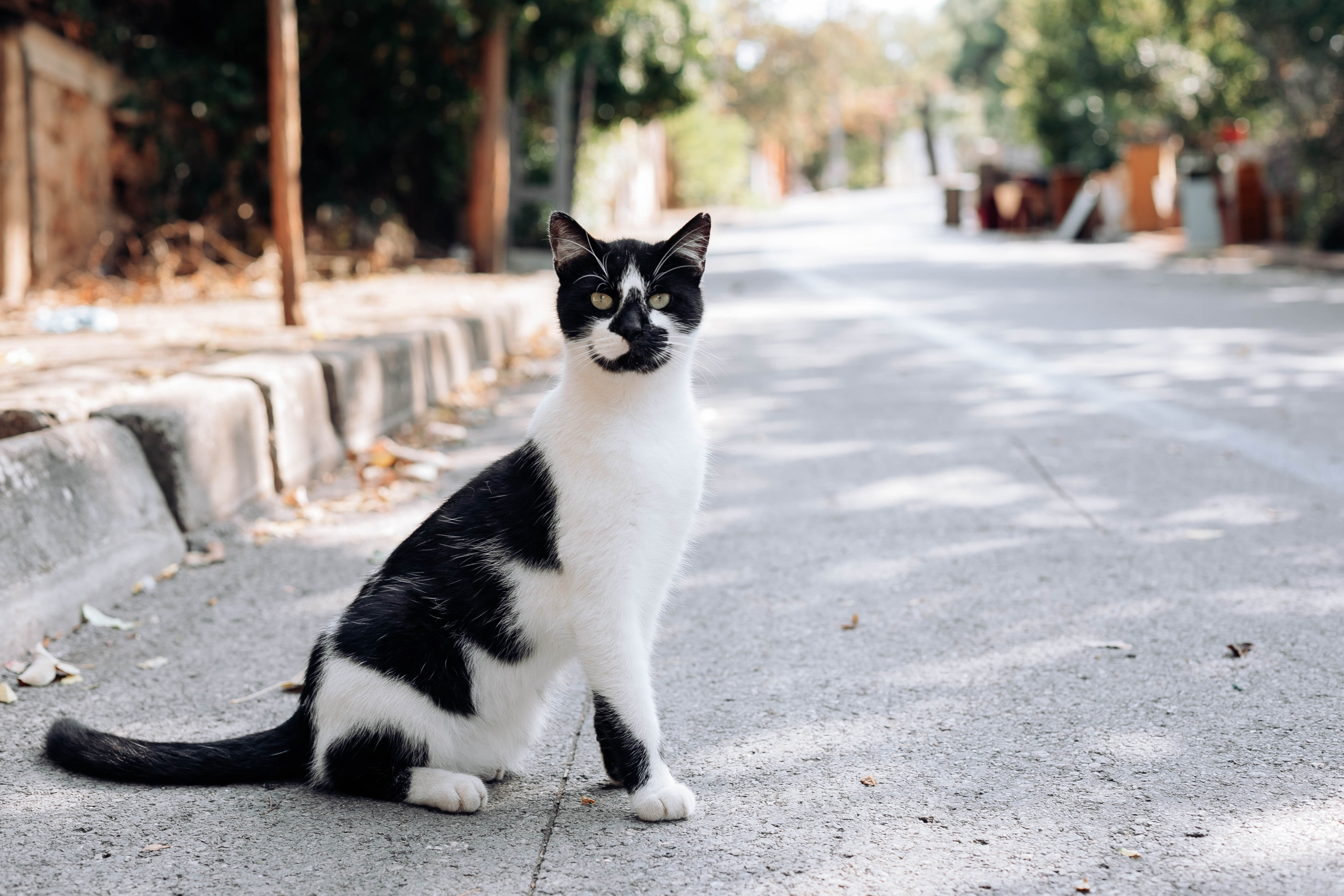 Istanbul. Katerina Spekhova