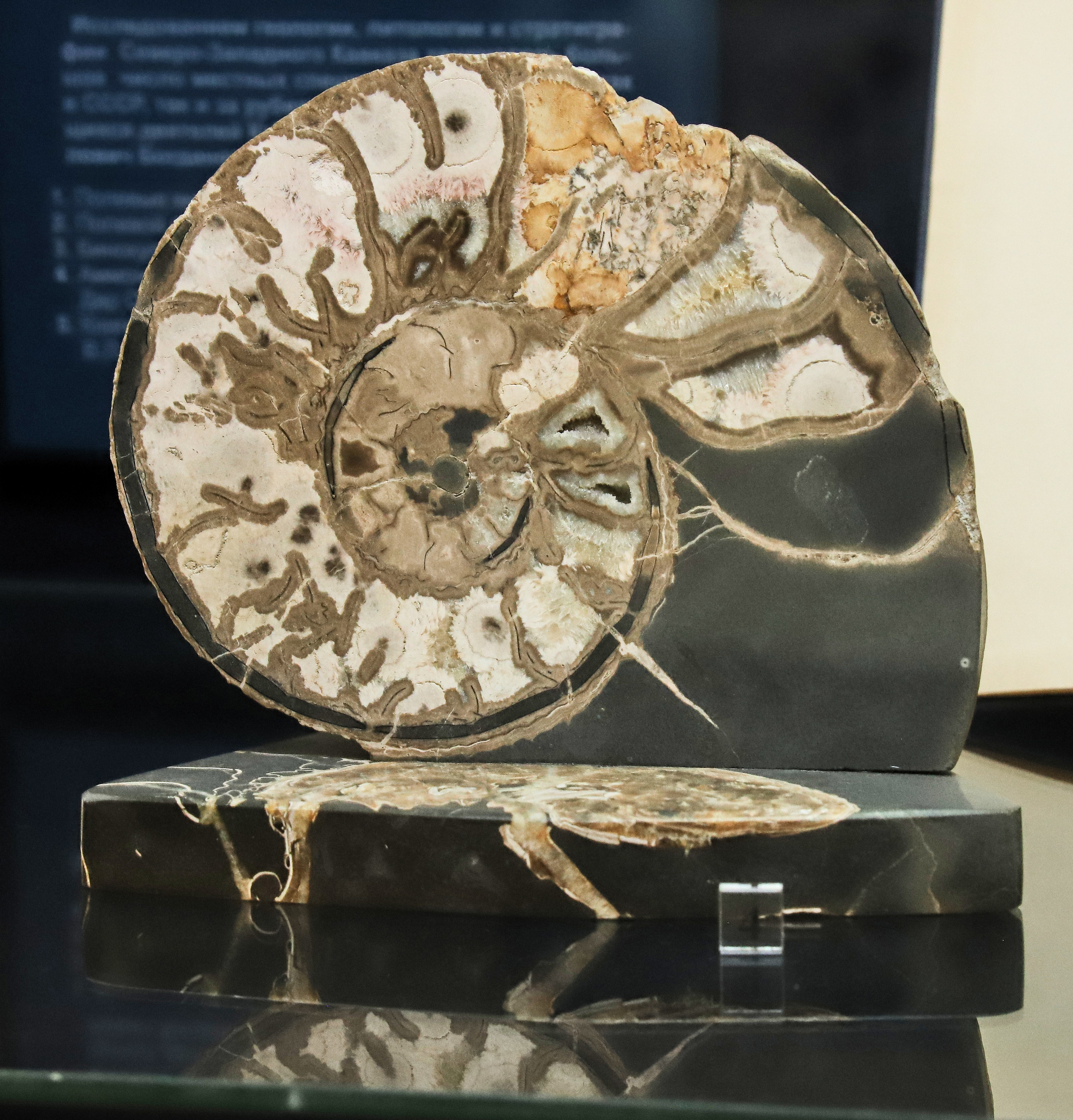 Каменная летопись. Фотограф Юлия Маринина