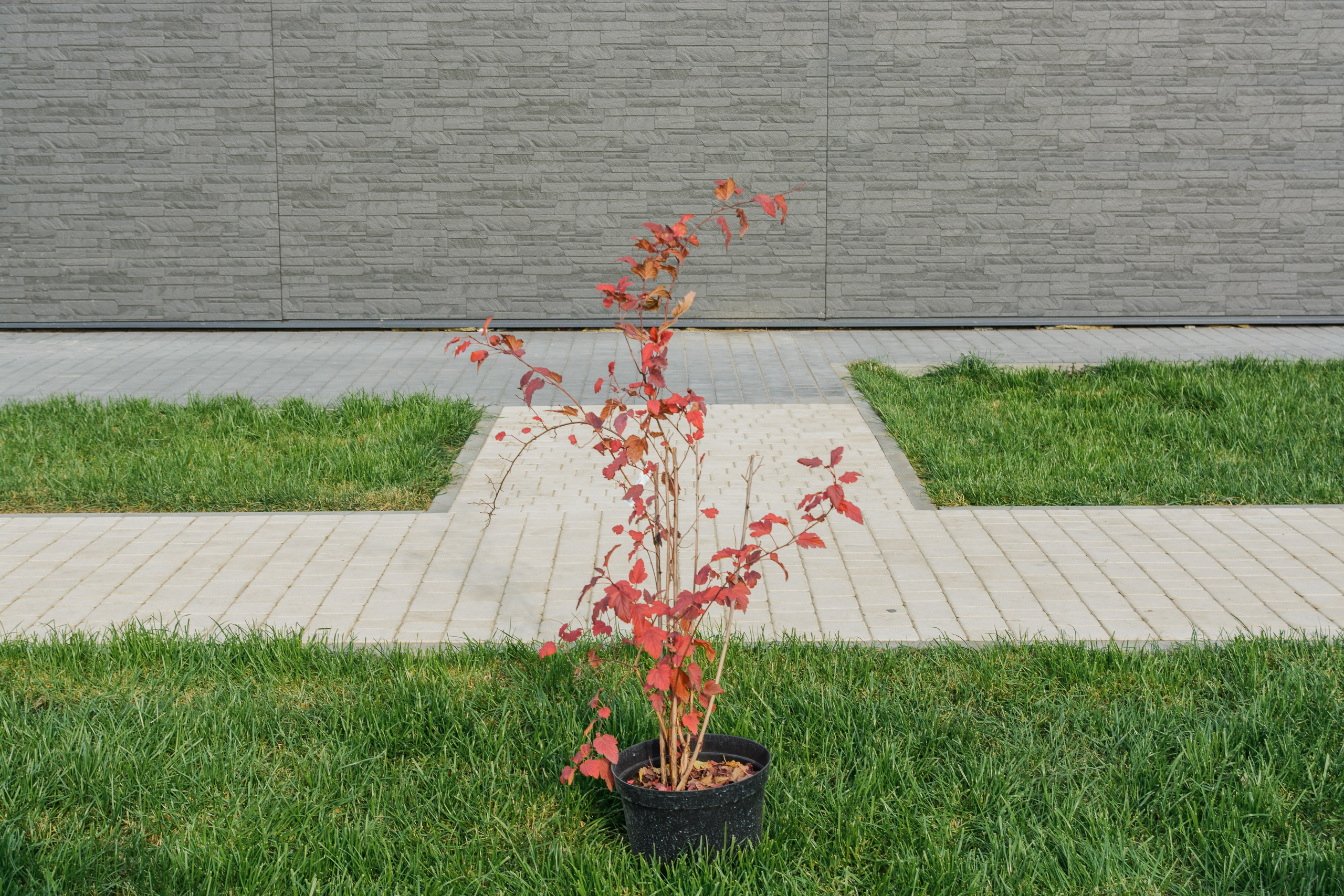 Архитектурная / Интерьерная съемка. Юлия Гоголева. Fashion-фотограф в Волгограде