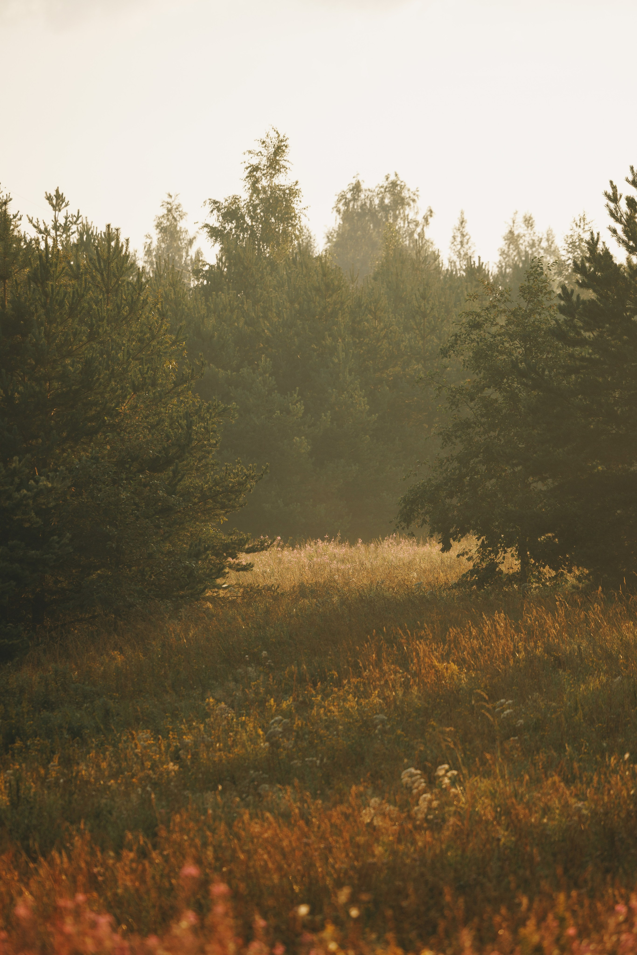 Сергей, Оксана и Жара. Фотограф анималист Осипчикова Мария