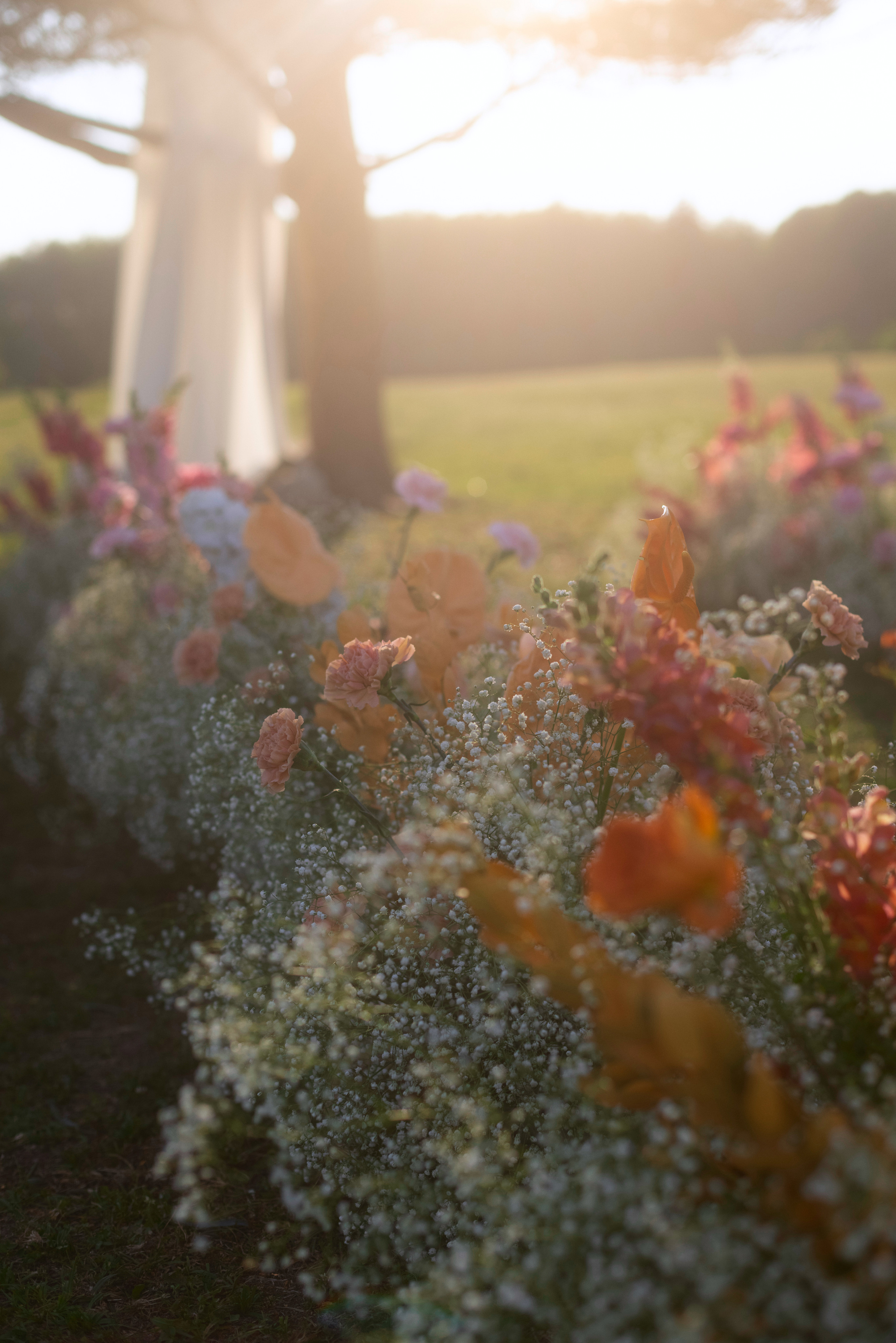 Кирилл и Настя. Свадебный фотограф Светлана Кривчикова