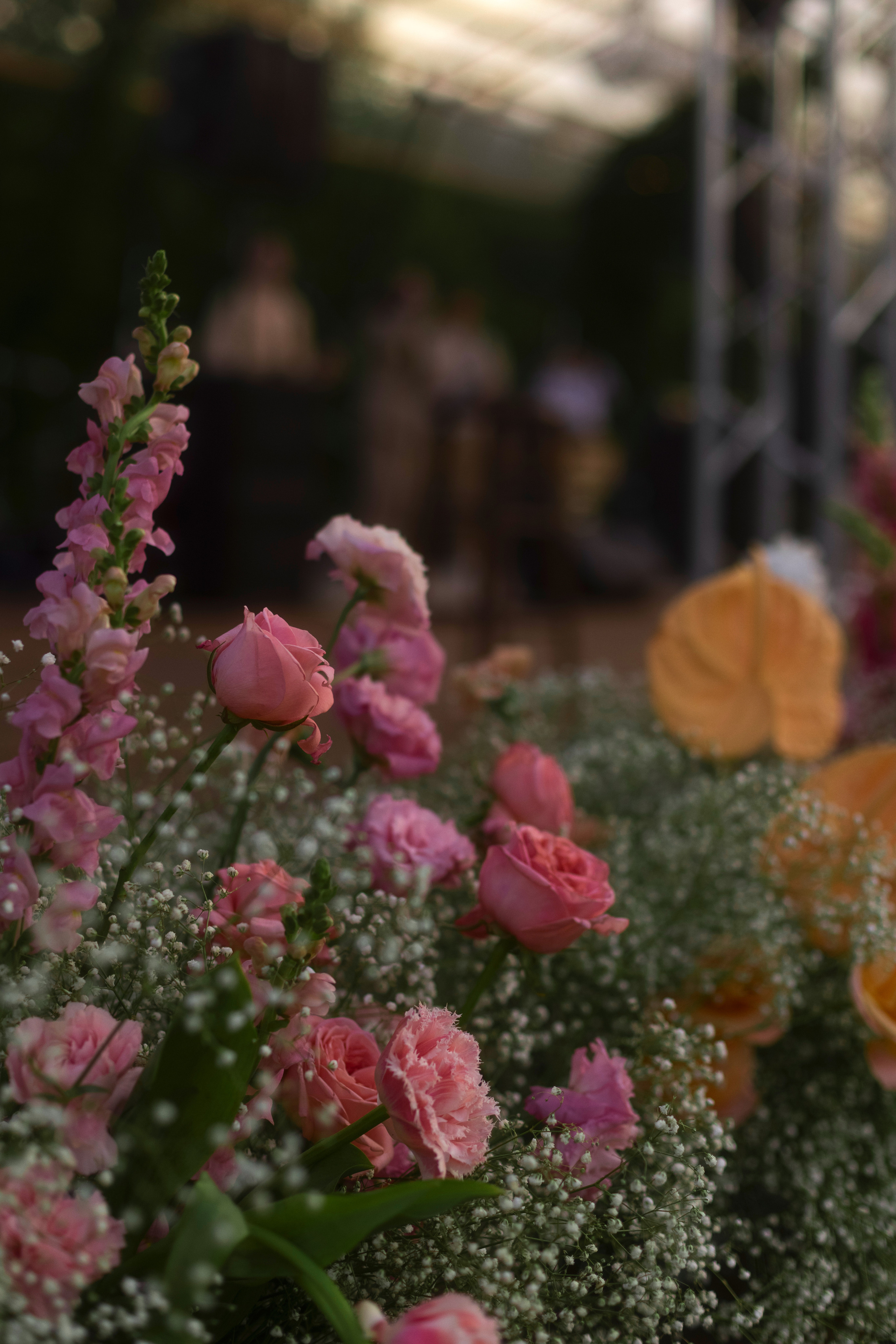 Кирилл и Настя. Свадебный фотограф Светлана Кривчикова