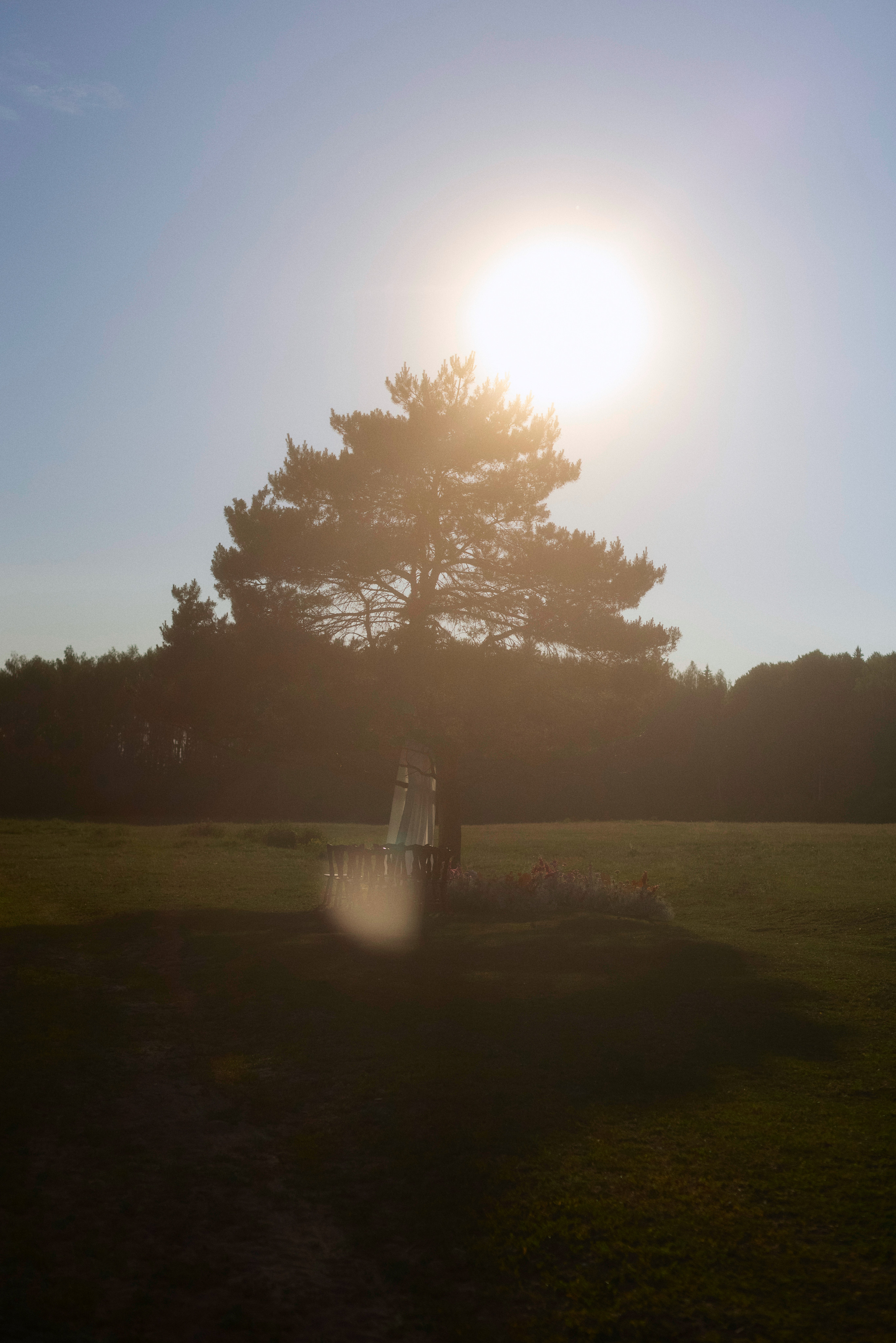 Кирилл и Настя. Свадебный фотограф Светлана Кривчикова