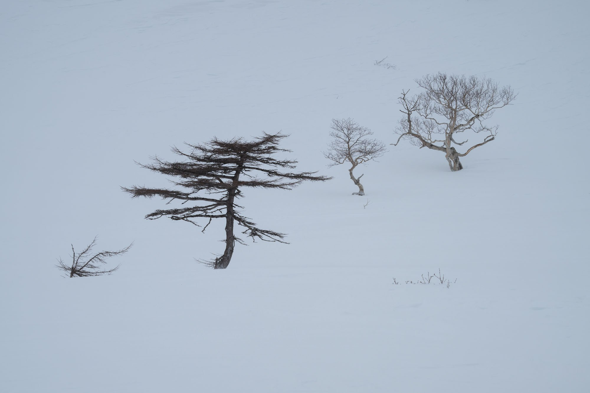 Фотогалерея Зимние Курилы