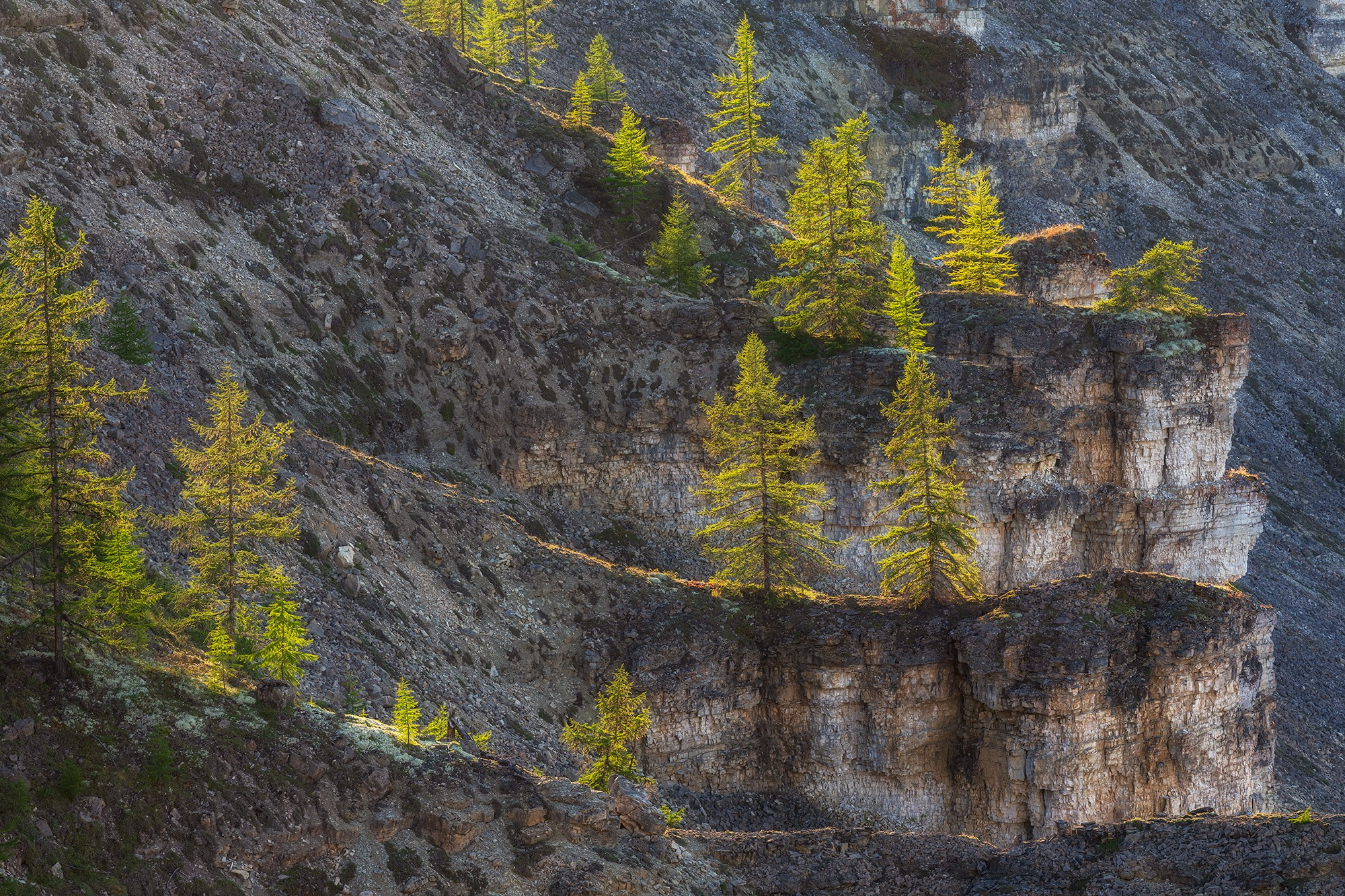 Котуйкан и Котуй. Анабарское плато. 2027