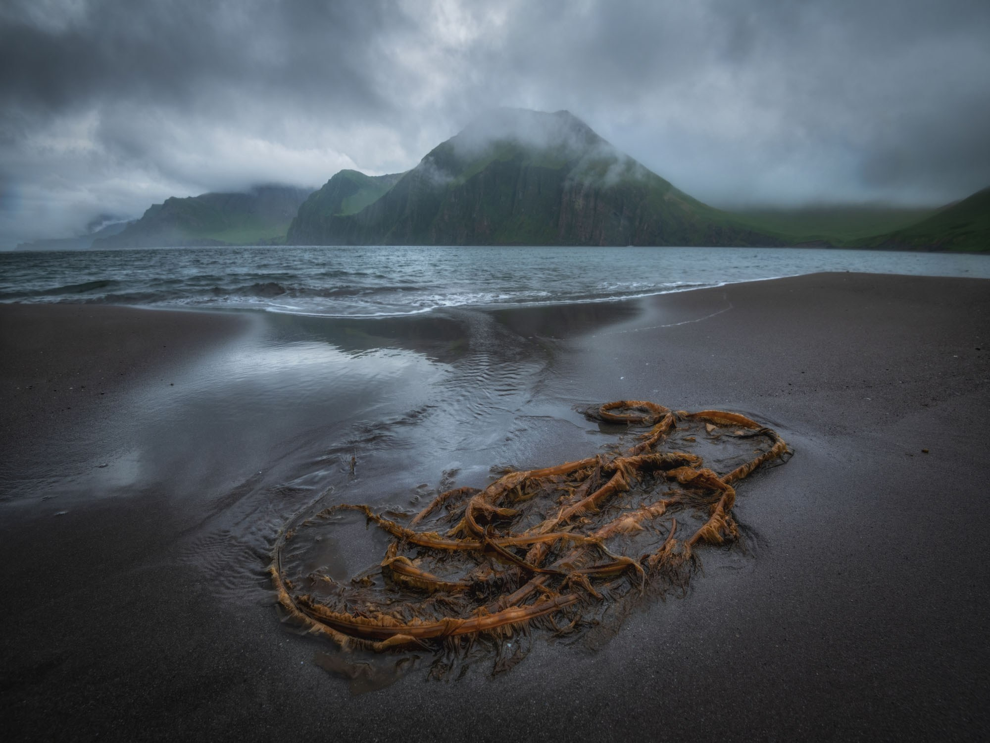 Фотоэкспедиция в Корякию и Командоры 2026