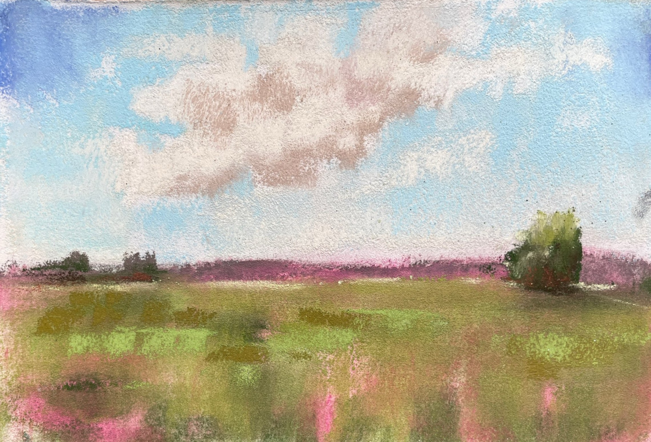 Пастель. Аня Степанова