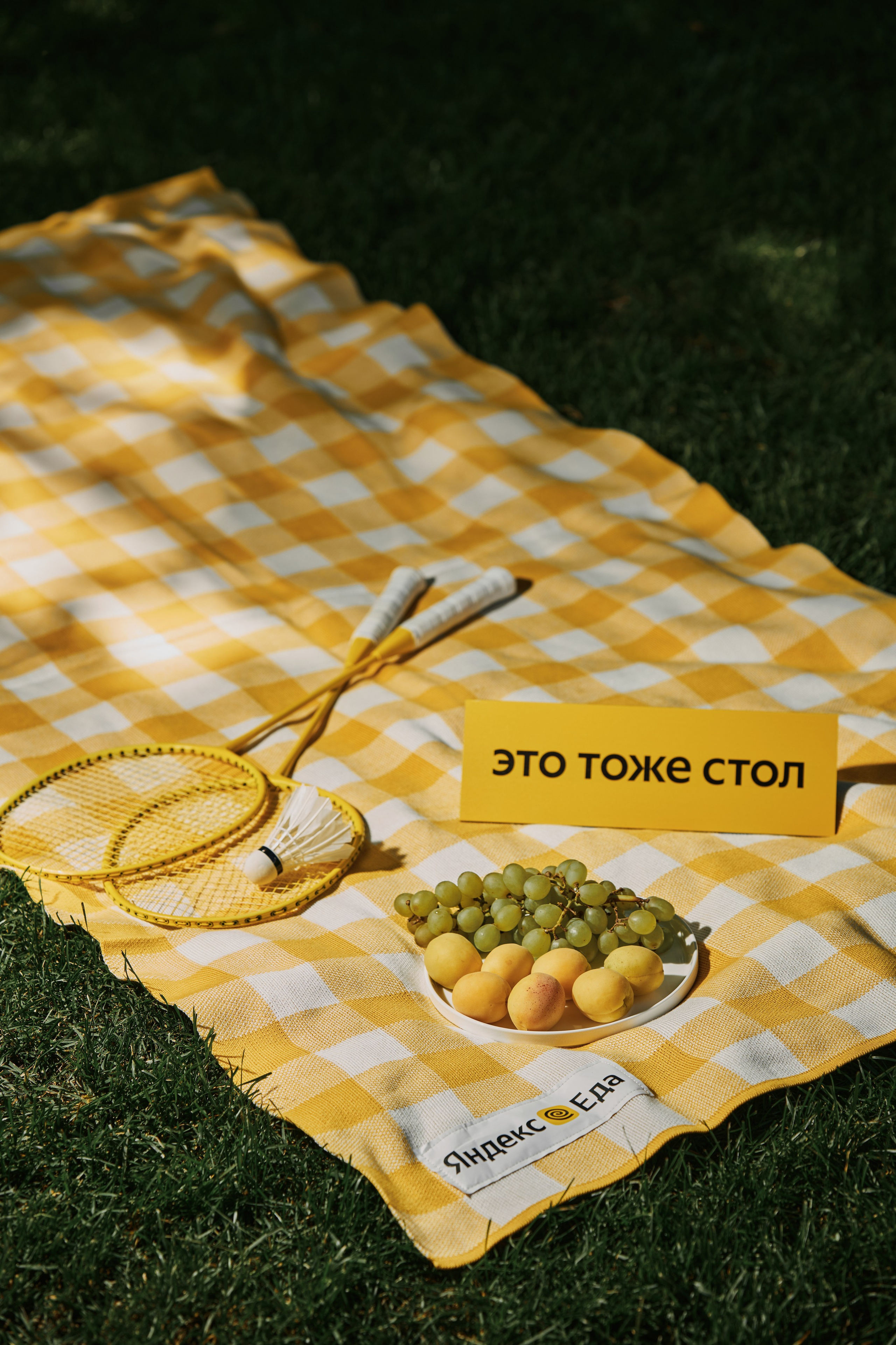 Bellini-пикник 2025. Фотограф Ольга Зинченко