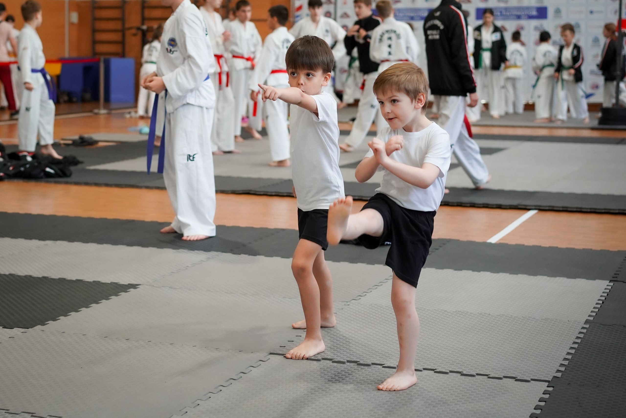 Тхэквандо — соревнования. Выпускные альбомы Натальи Бутко: Новороссийск, Анапа, Геленджик