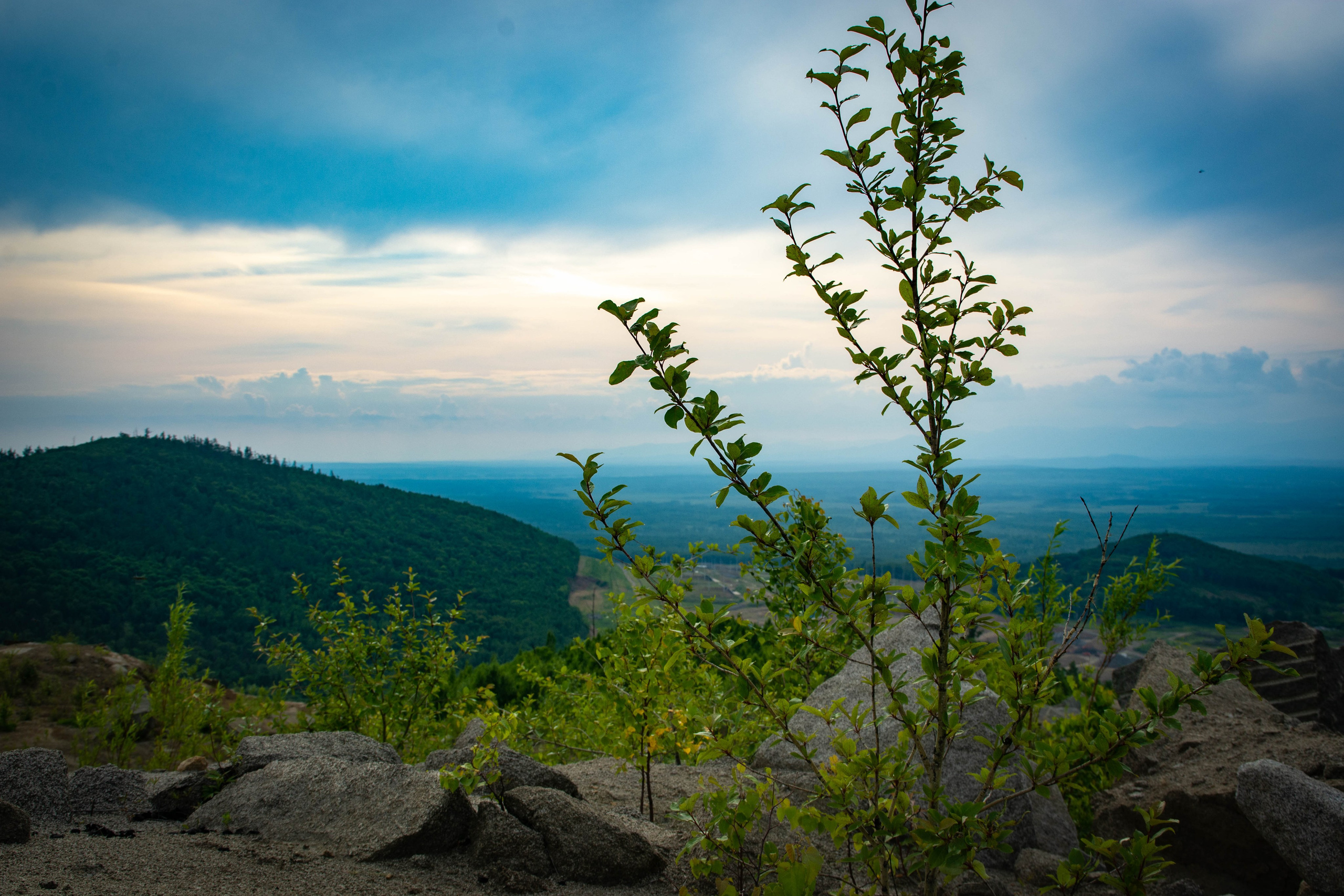 Природа в фотографии, взгляд на прекрасное через объектив фотоаппарата. Елена Волкова семейный фотограф в станице Гостагаевской города-курорта Анапа