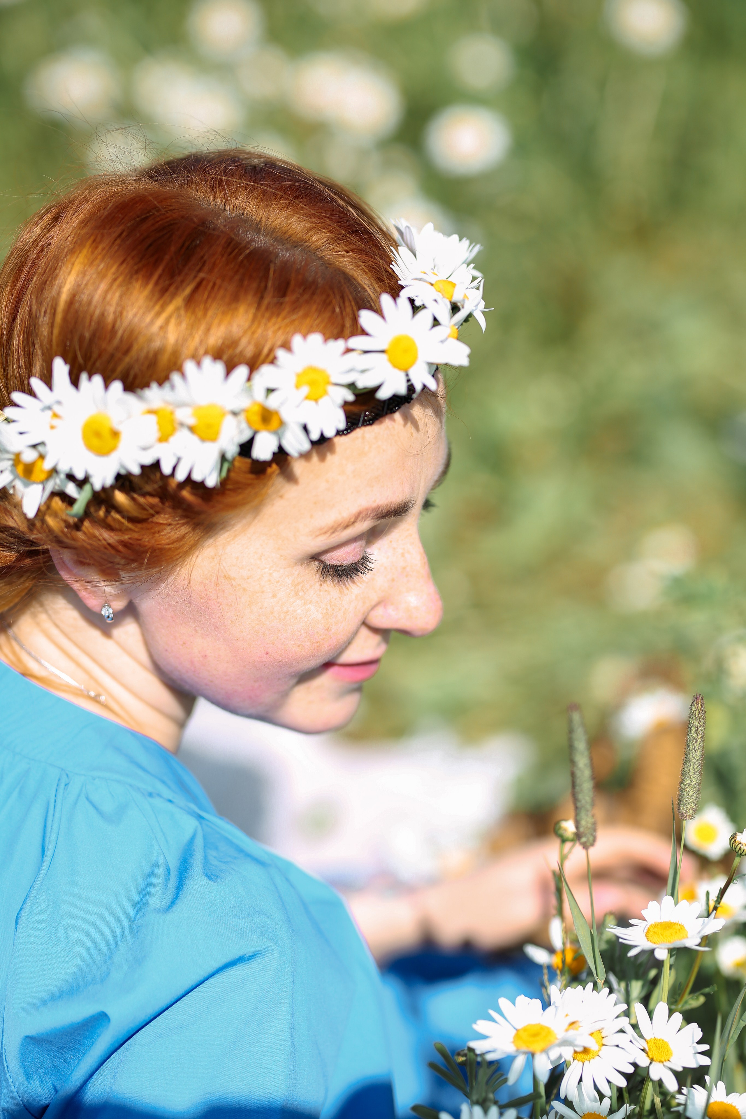 Ромашковое поле. Фотограф Анастасия Залевская