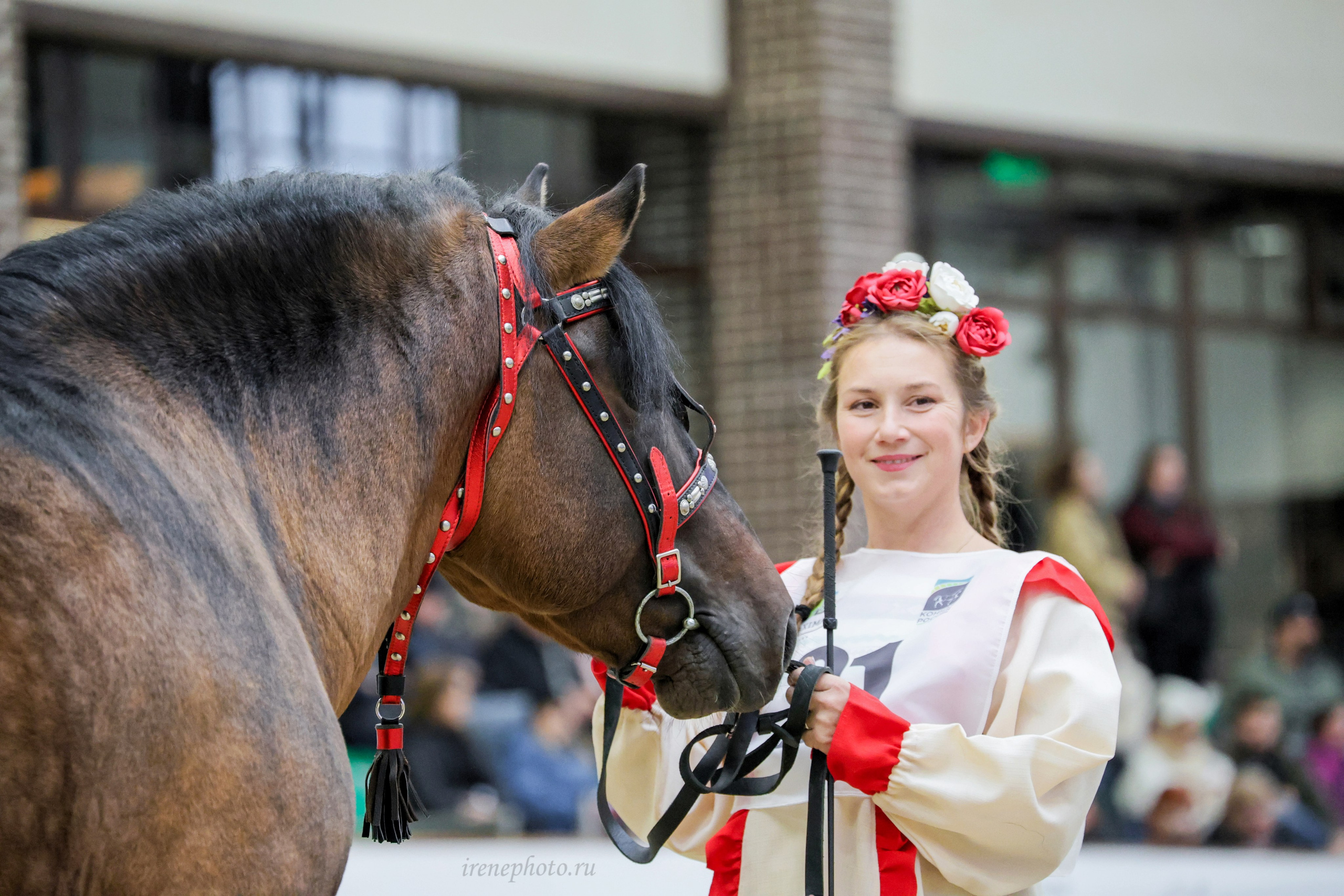 Конная Россия 2024. Irenephoto.ru