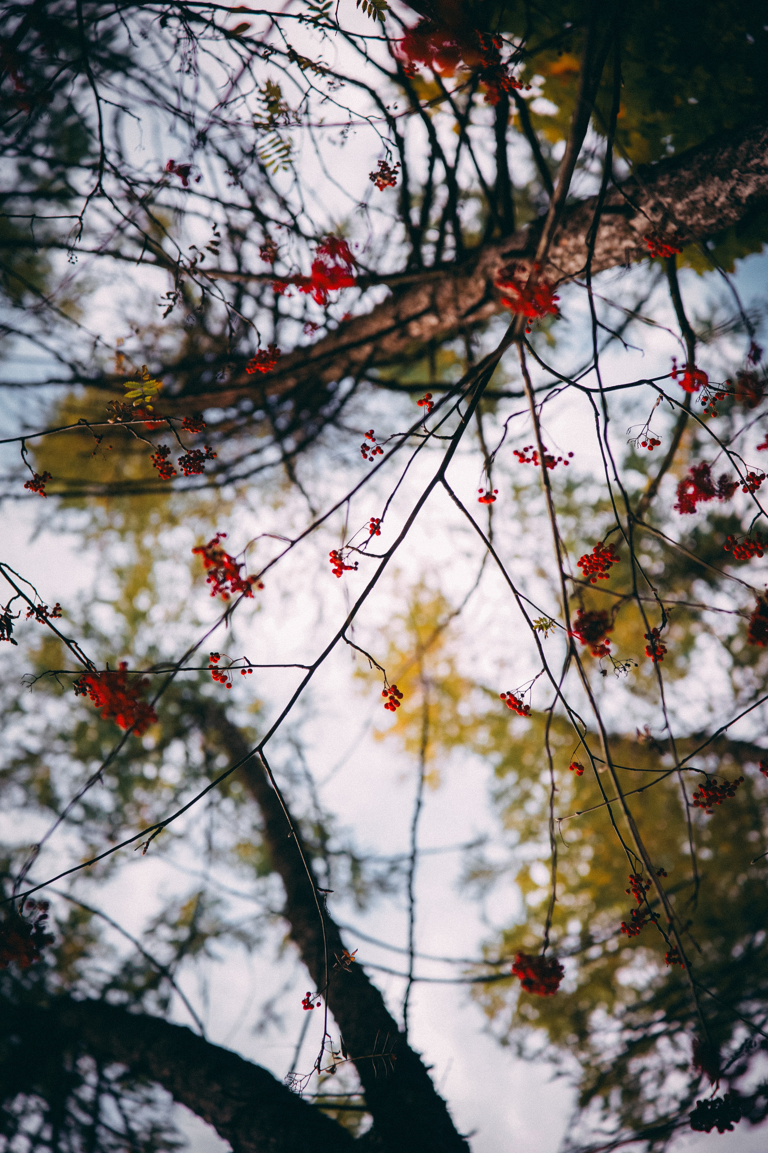 Осень 2025. Фотограф из Москвы — DASHA NOVA | Авторская фотография в разных жанрах