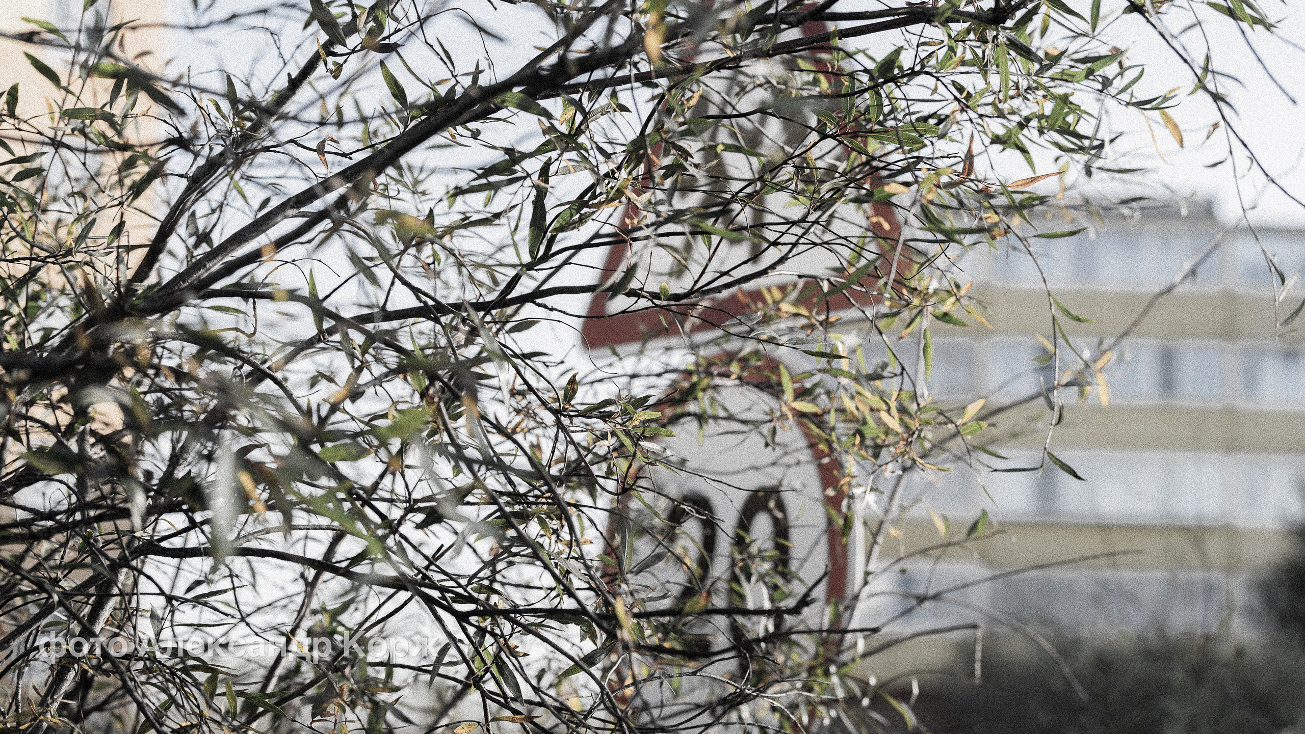 Фотографии Северного поселка Айхал. Фотографии и видеосъемка, Айхал, Удачный, Якутия. Фотографии Айхал