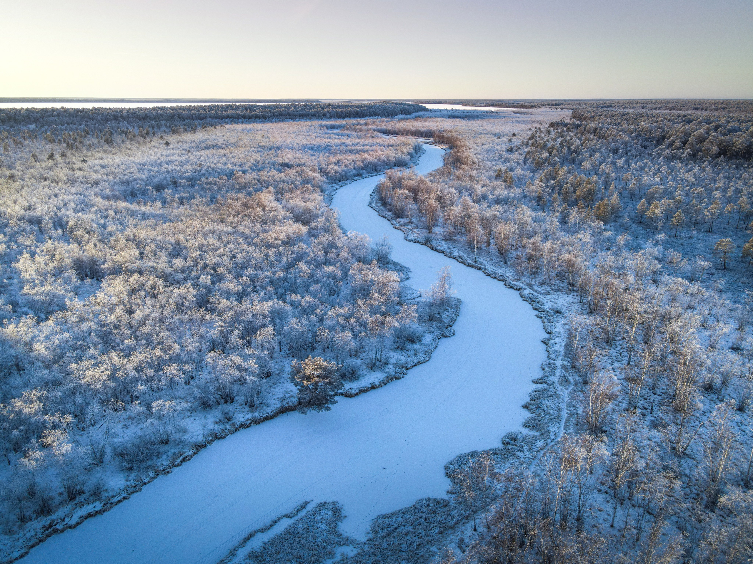 ПРИРОДА С ДРОНА. Фотограф Татьяна Борисова