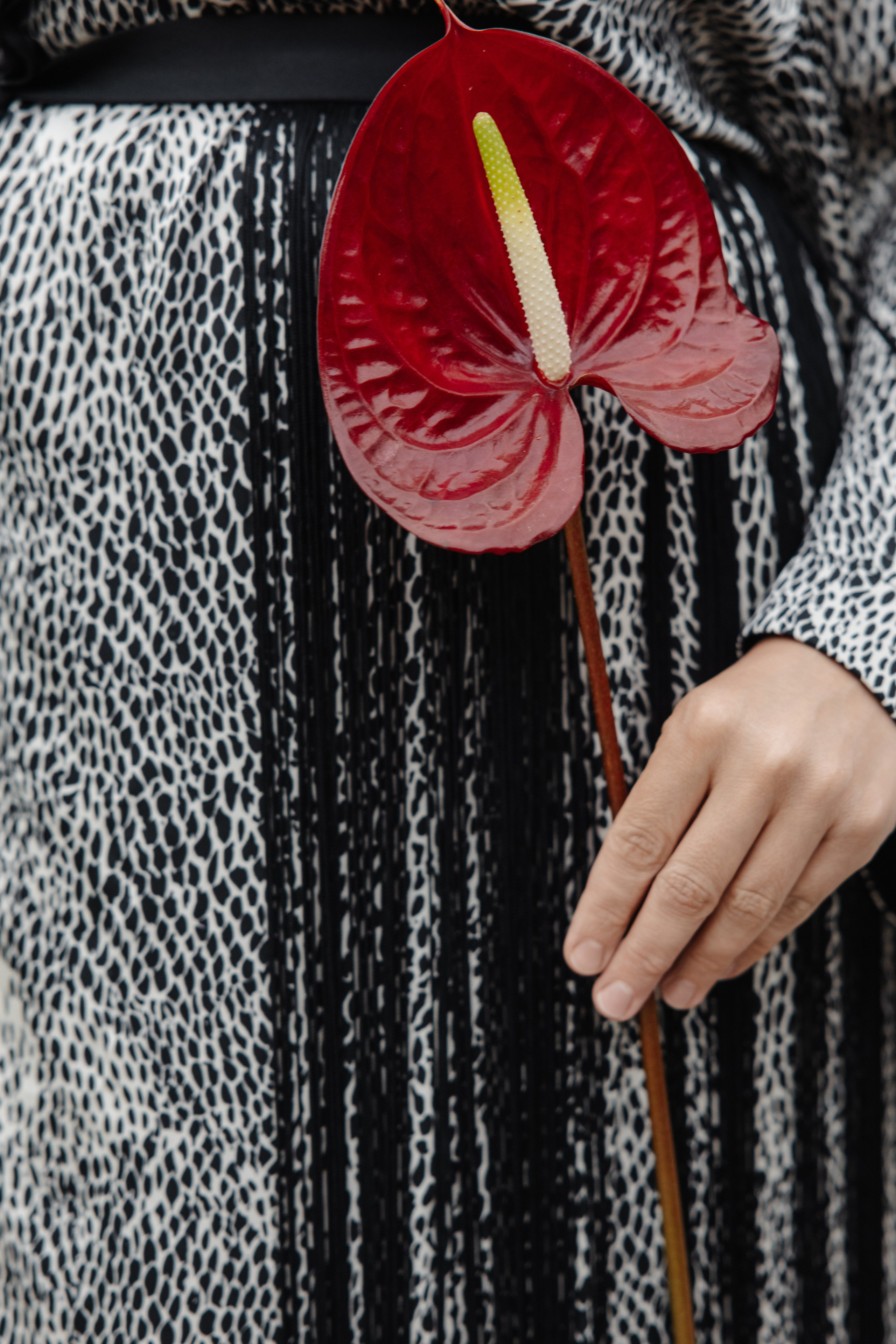 ГРЕНАДА. Фотограф в Красноярске