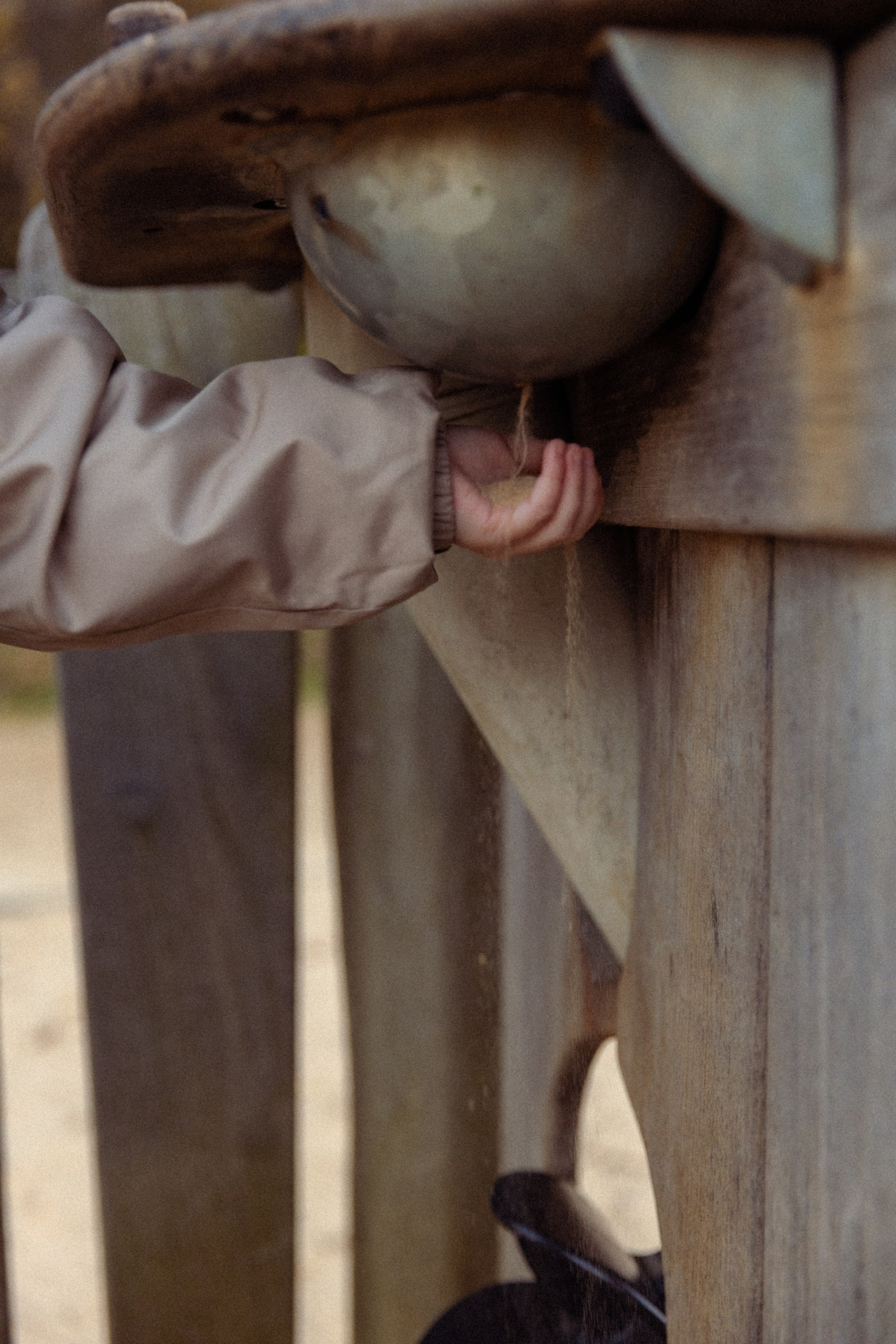 Арина и Катя. Фотограф в Нижнем Новгороде Воробьева Анжела