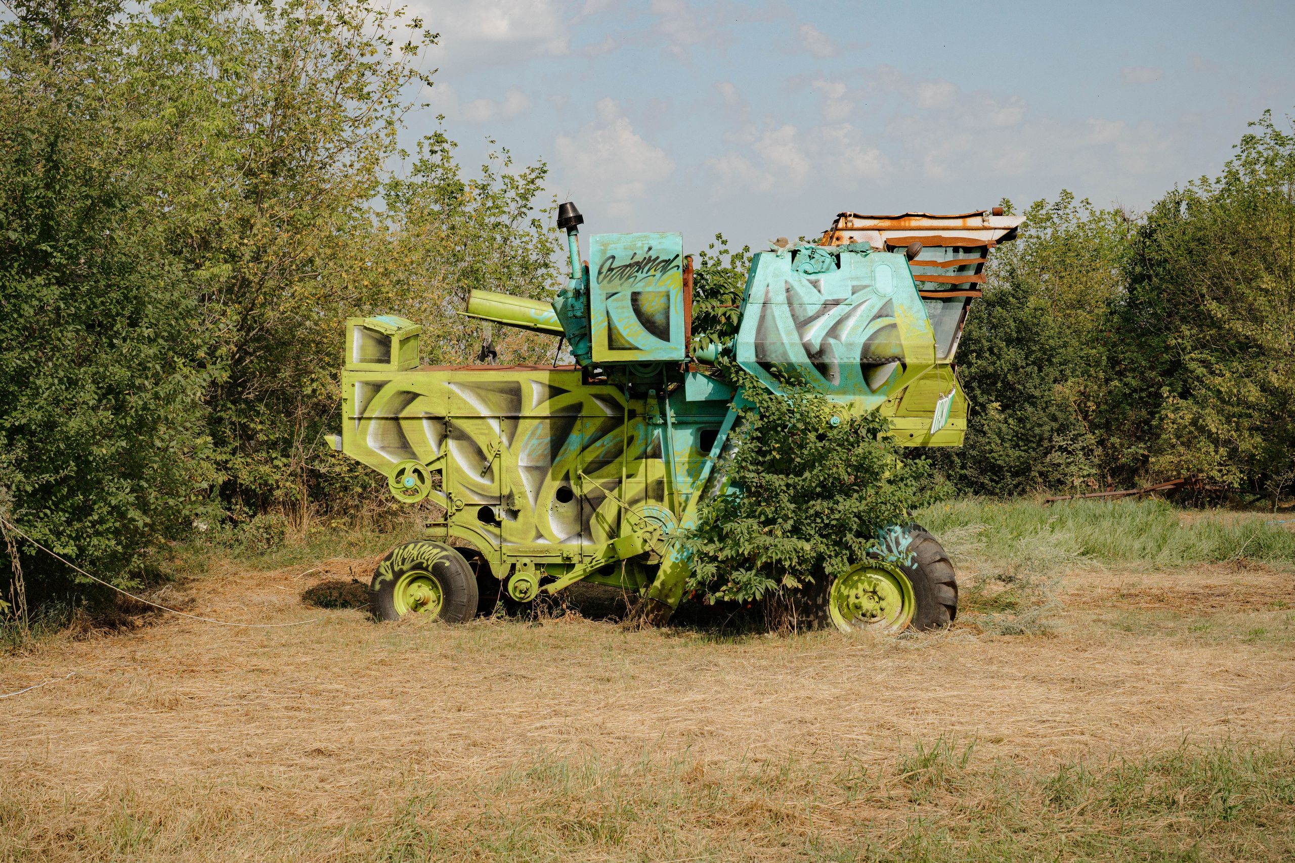 ASS FAMILY | СОН В ДЕРЕВНЕ | АВИАРЕЖИМ 8.0