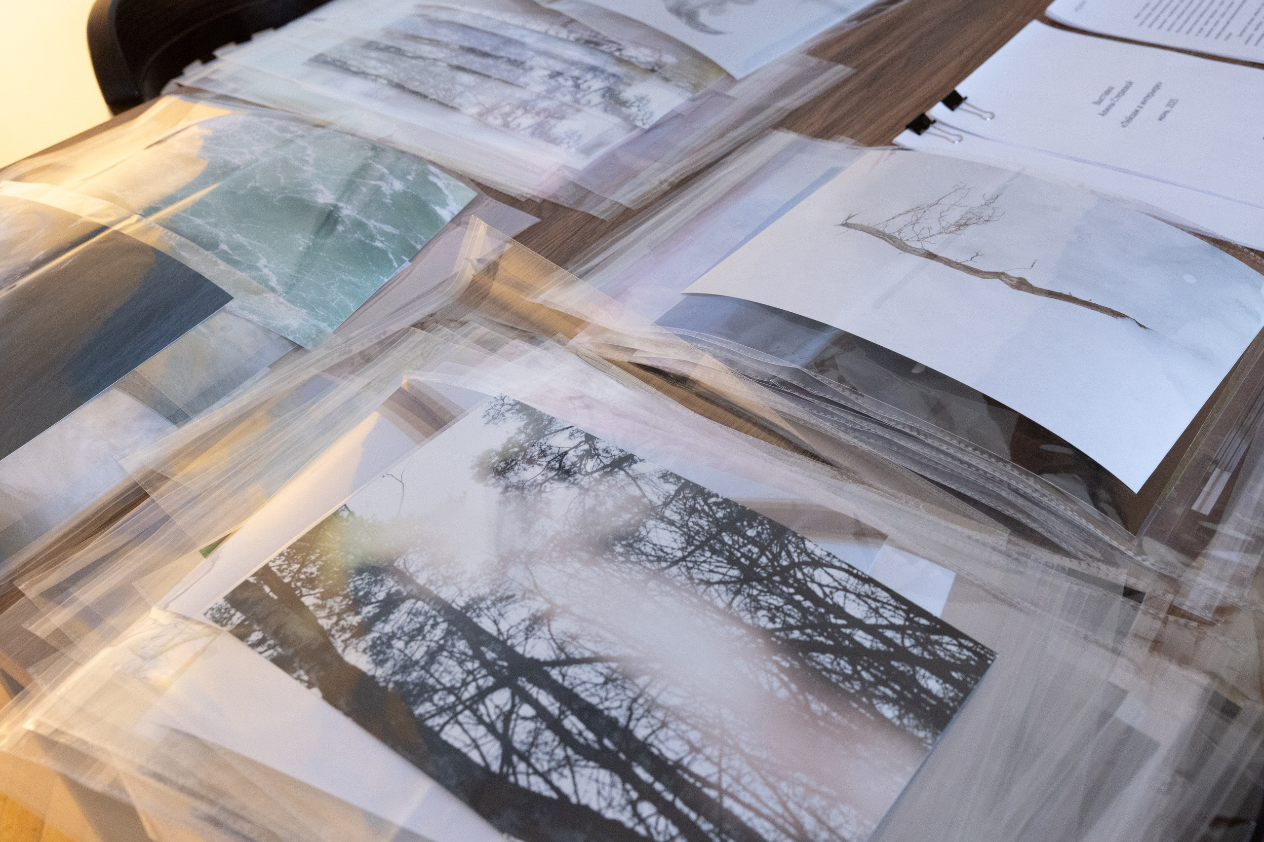 Personal exhibition Interior landscape 2025. Фотограф алина стерхова, алина стерхова фотограф, фотограф москва