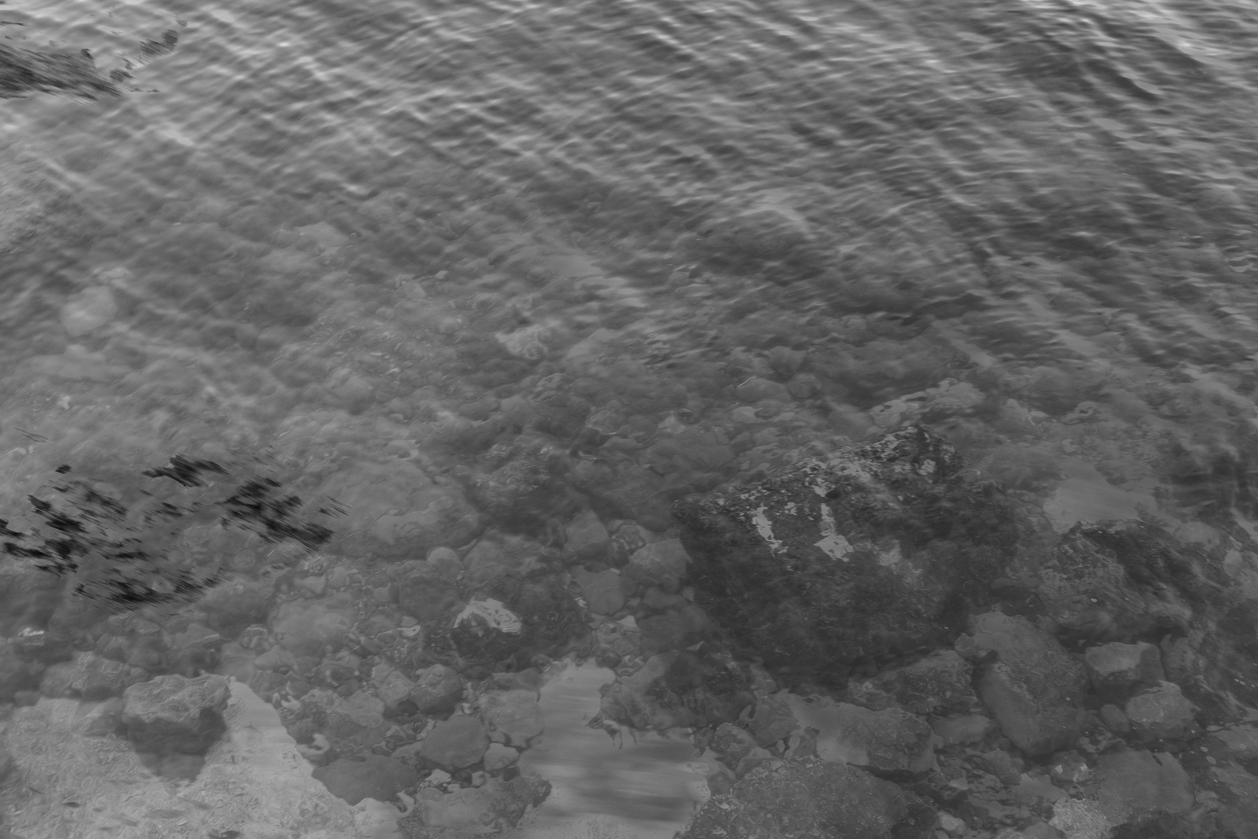 Art prints. Фотограф алина стерхова, алина стерхова фотограф, фотограф москва