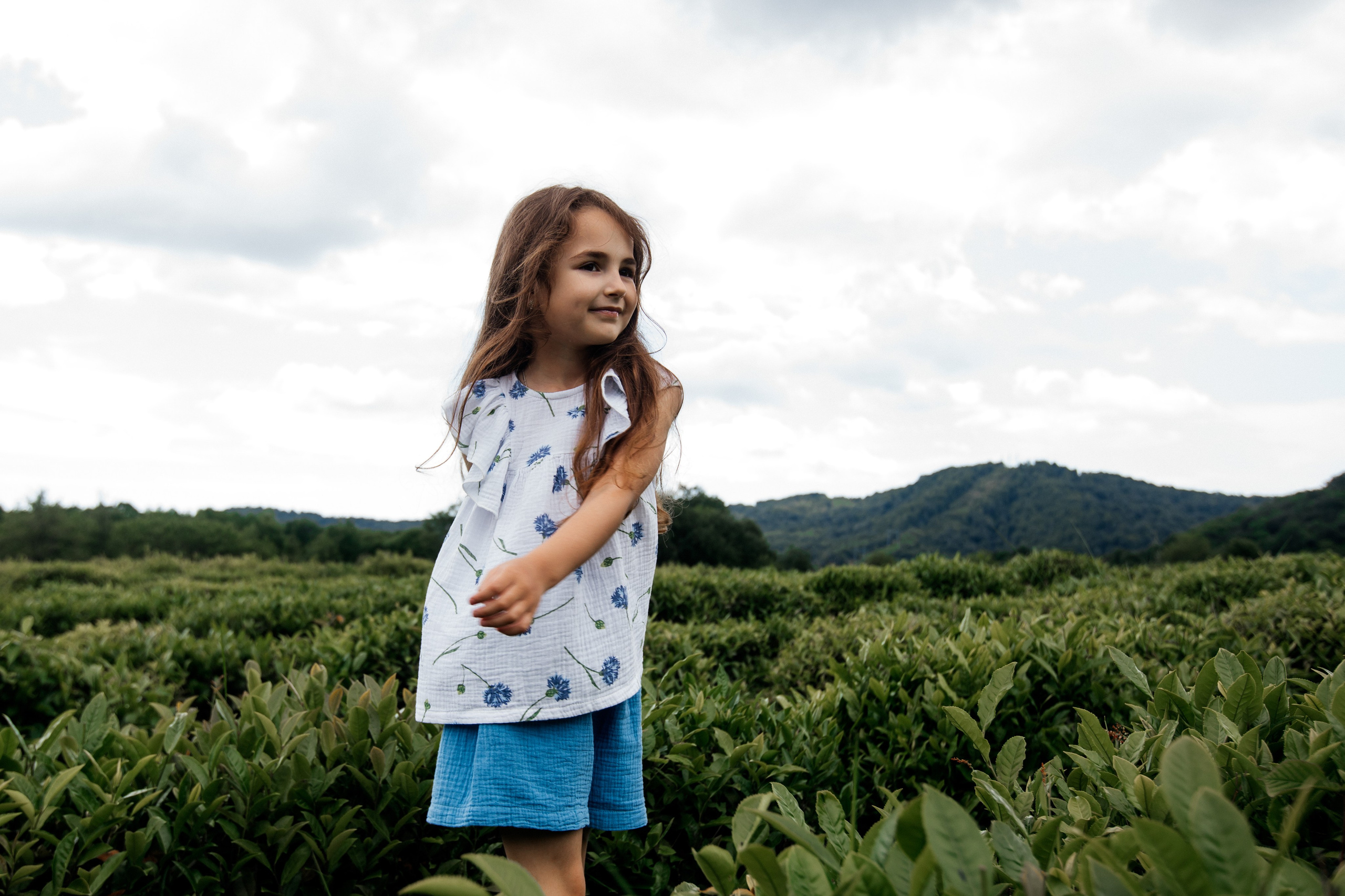 Tea plantation. Efimova Model Agency