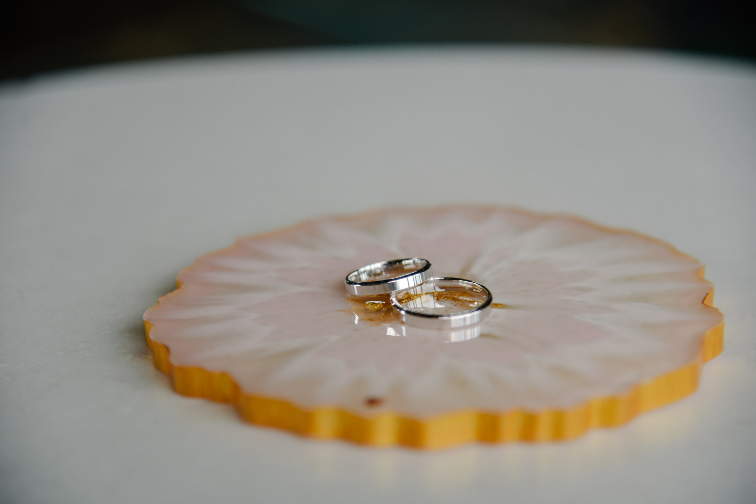 Птички. Фотограф Лола Волна, город Москва