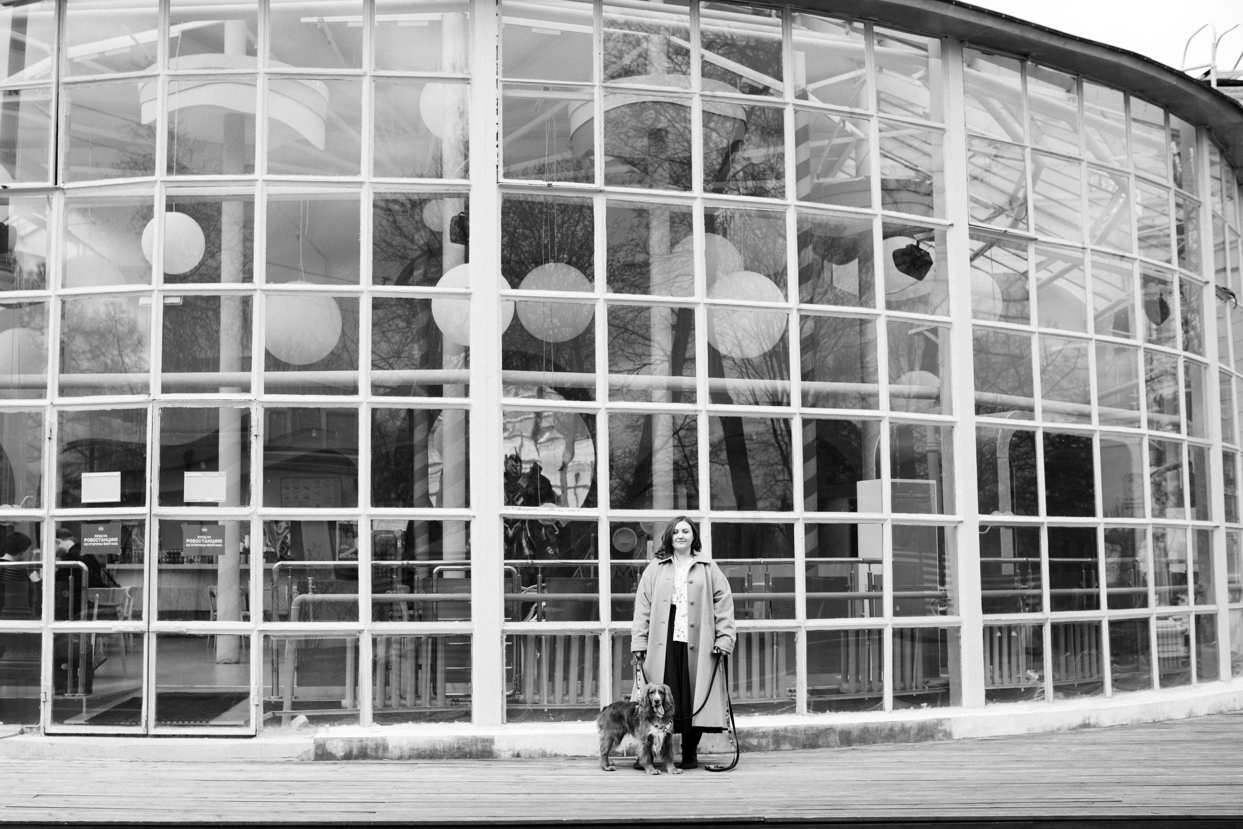 Рыжая команда. Фотограф анималист в Москве Ольга Агушева