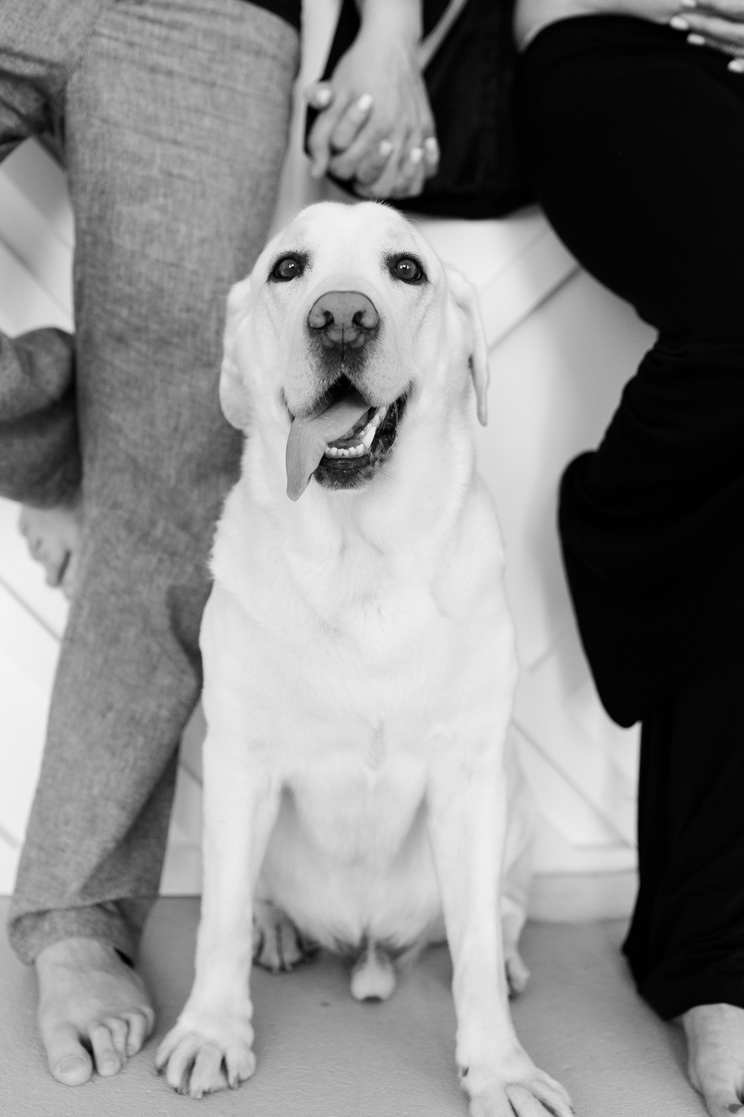 Женя Виталий Тоби