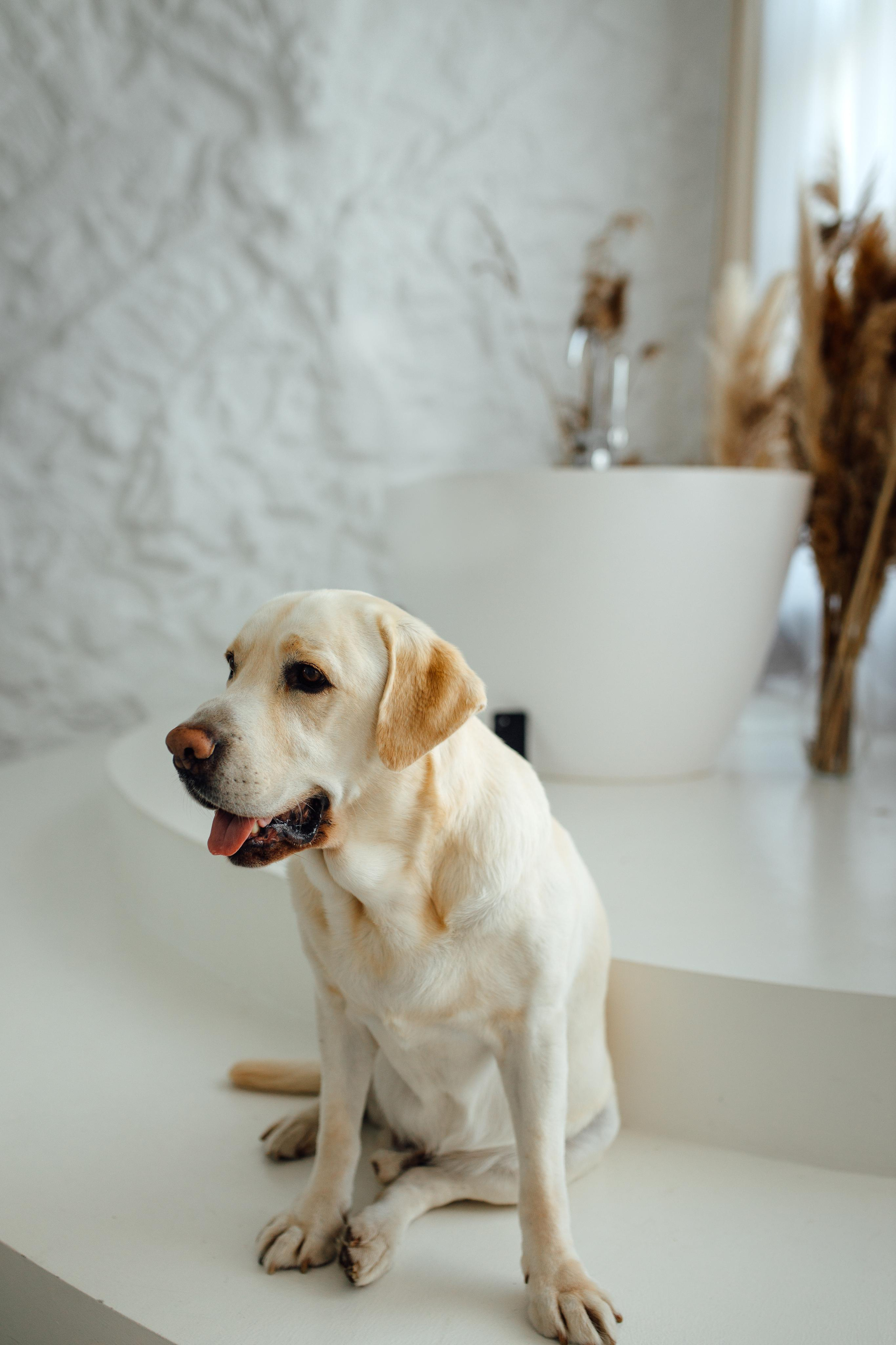 Женя Виталий Тоби