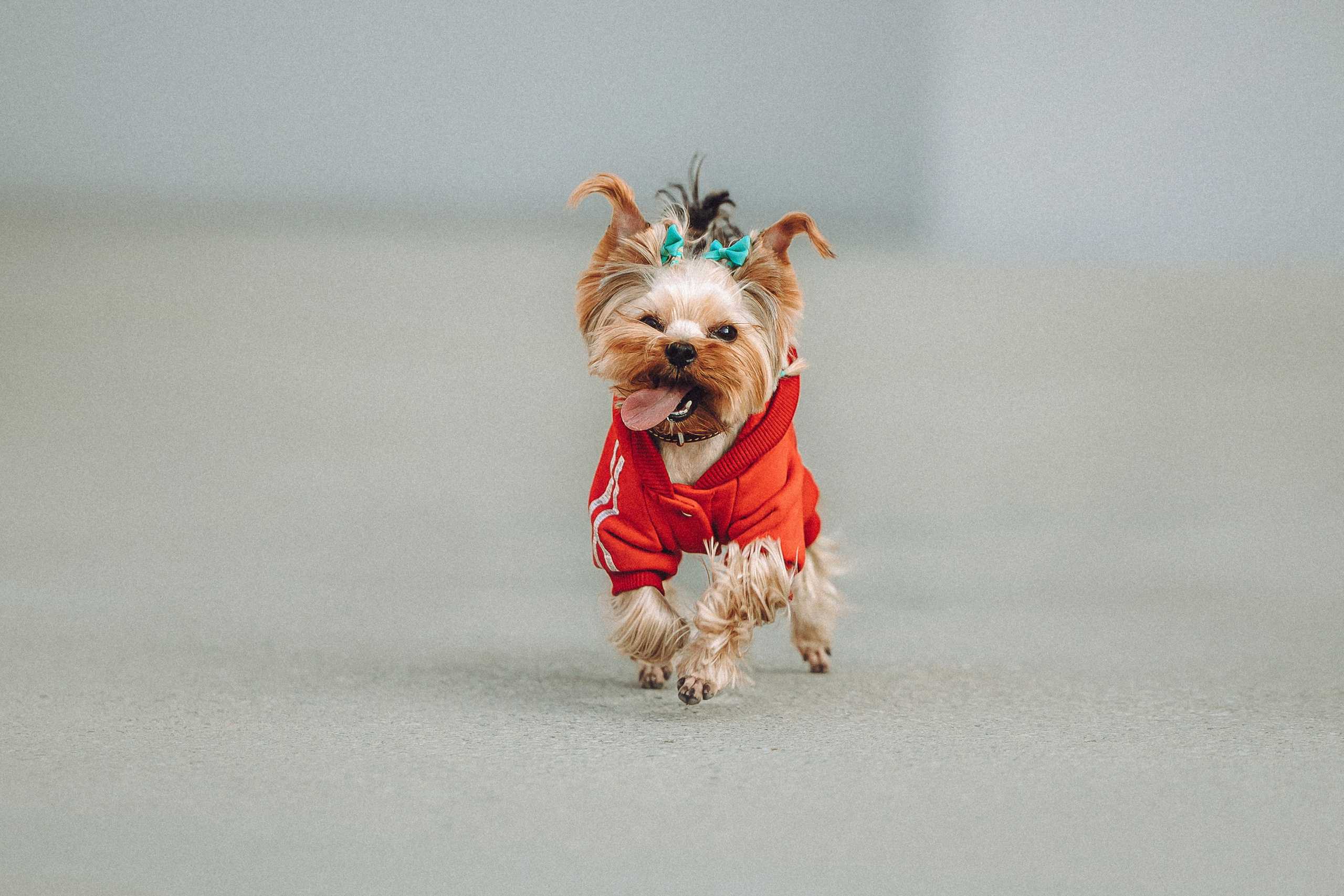 Дженни, Оливия и их семья