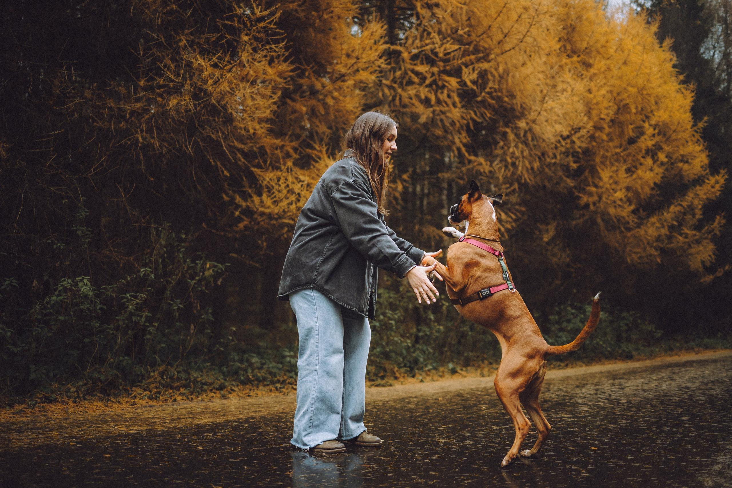 Элли и ее семья