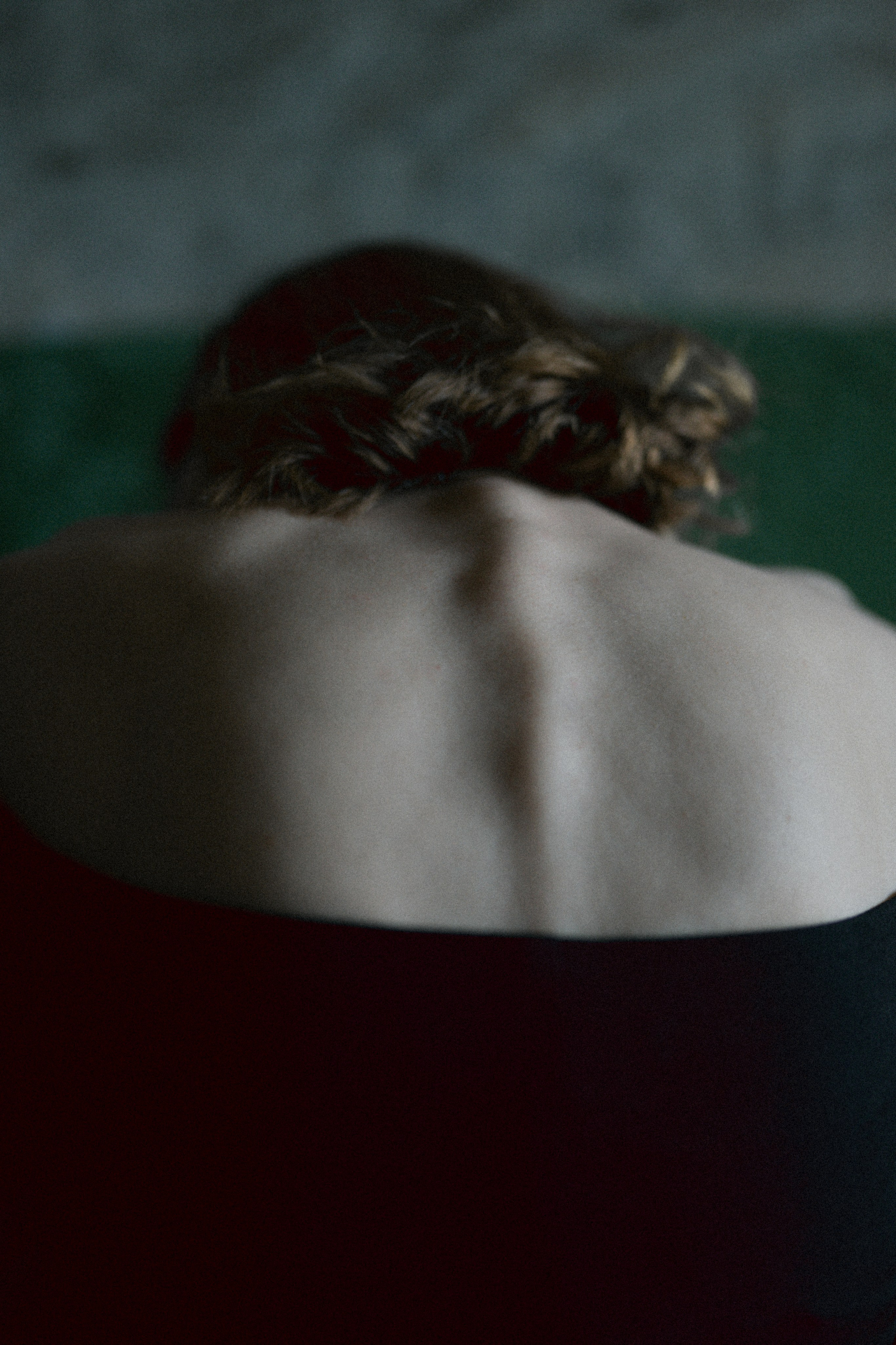 Фотографии. Фотограф Иркутск