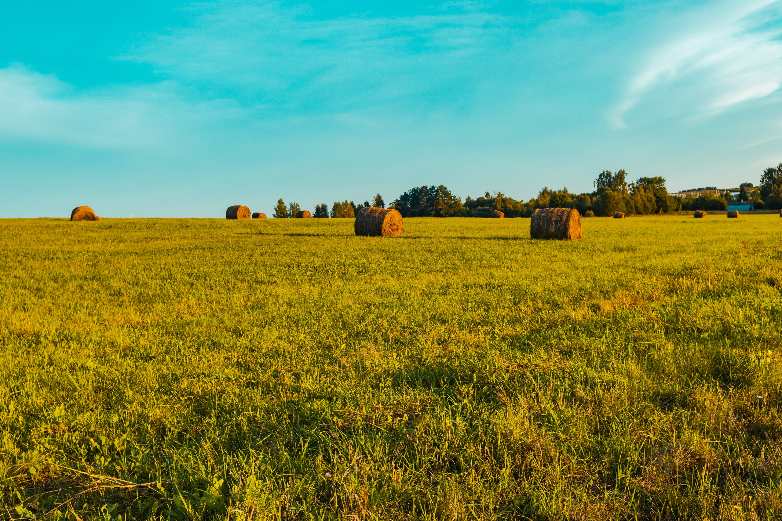 Деревня Мишнево | Калужская область. Папка кадров 📁