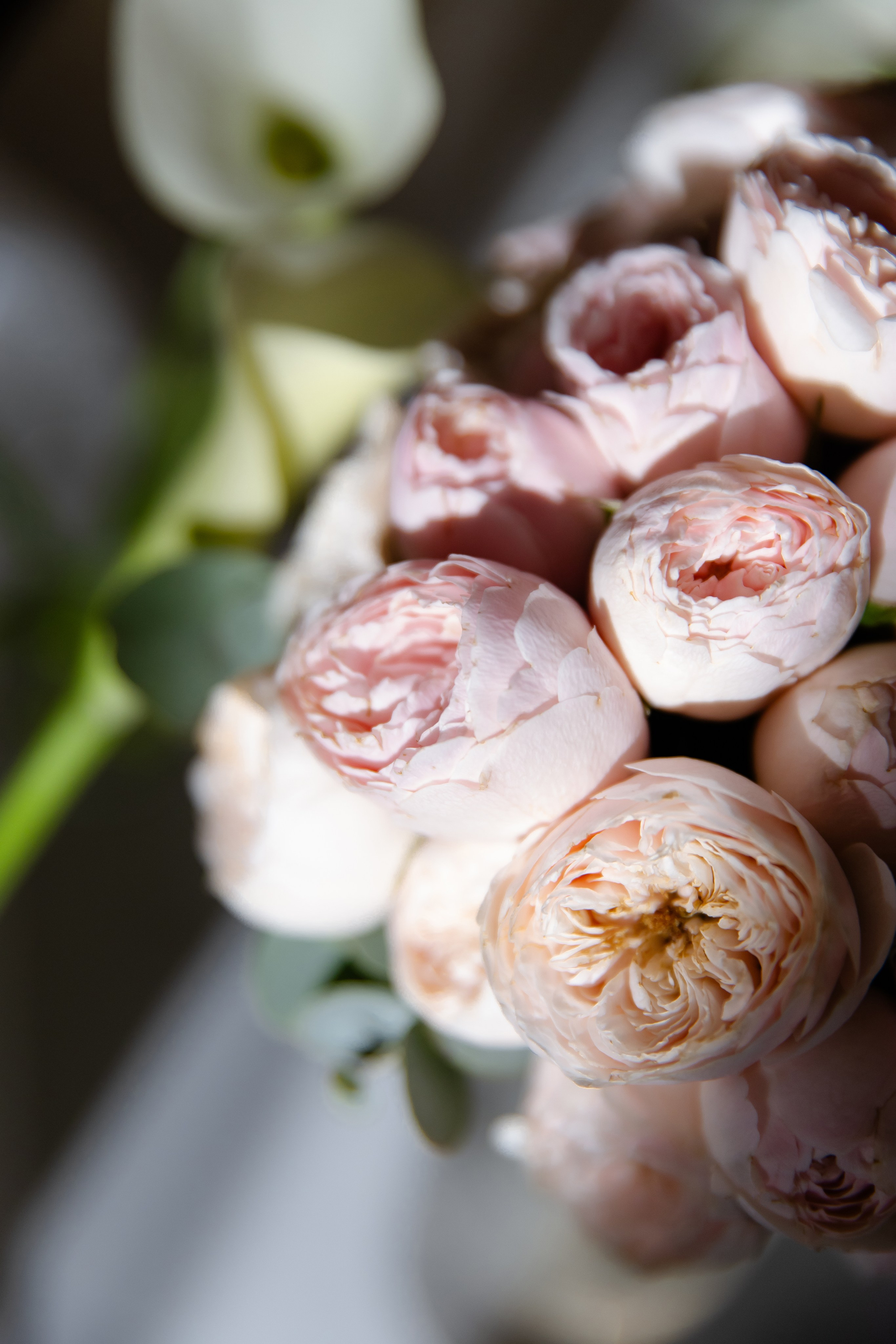 Свадебный день Паши и Насти. Свадебный фотограф Анна Бабахина