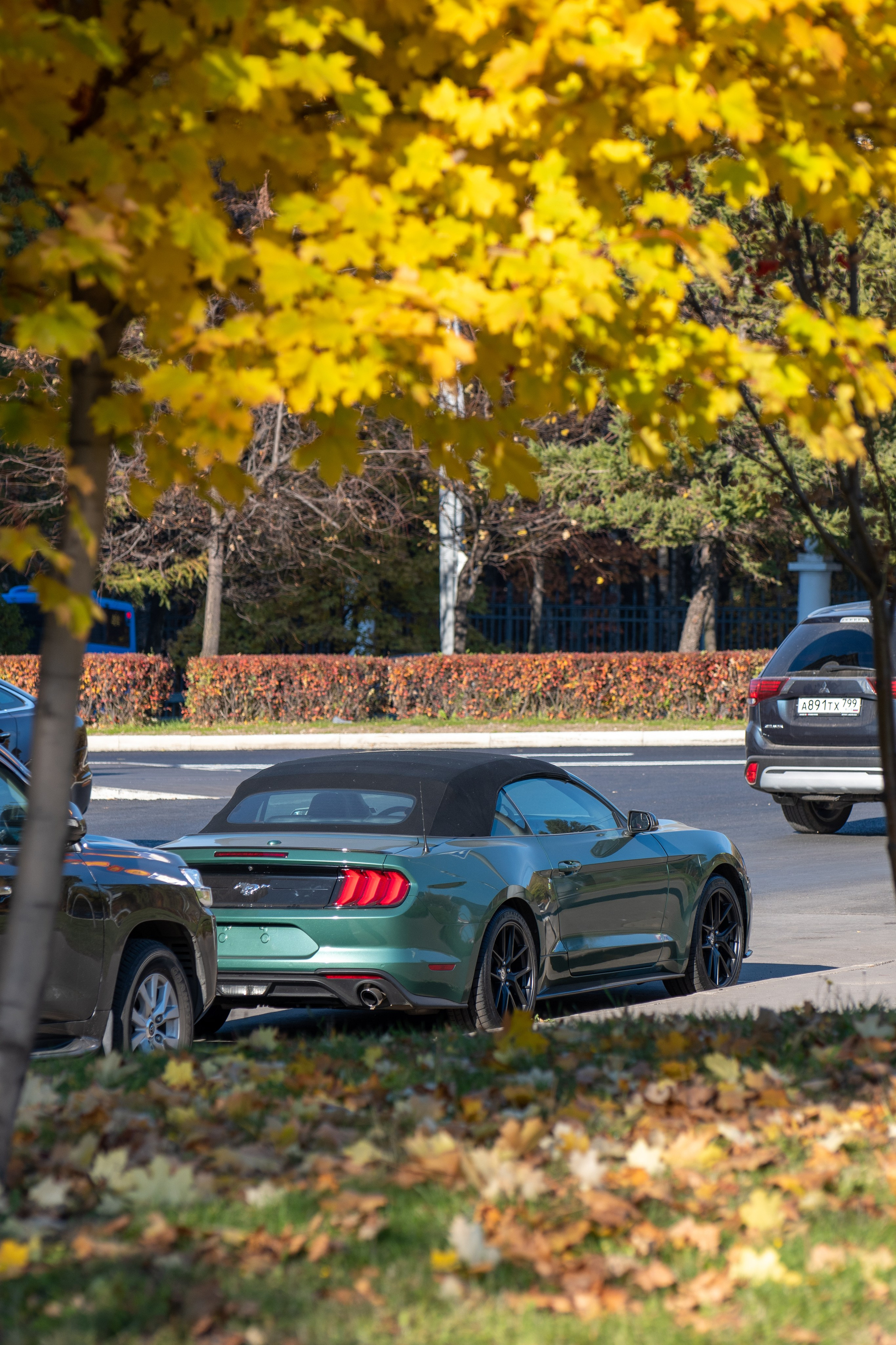 20211010 МГУ. Дмитрий Ремизов. Фотография, как хобби