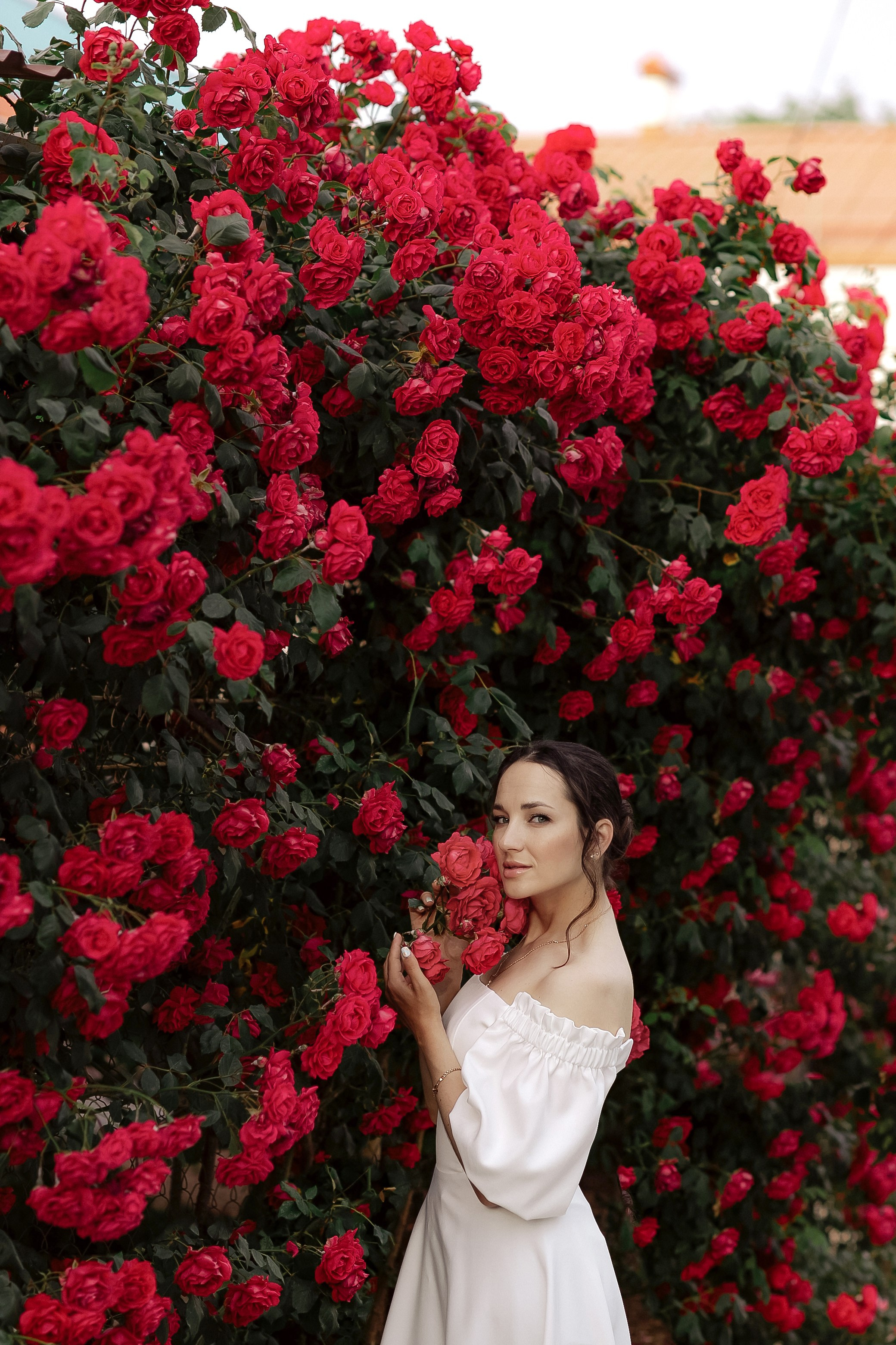 Liza I Roses. Свадебный фотограф в Севастополе и Крыму| Tanya Sher